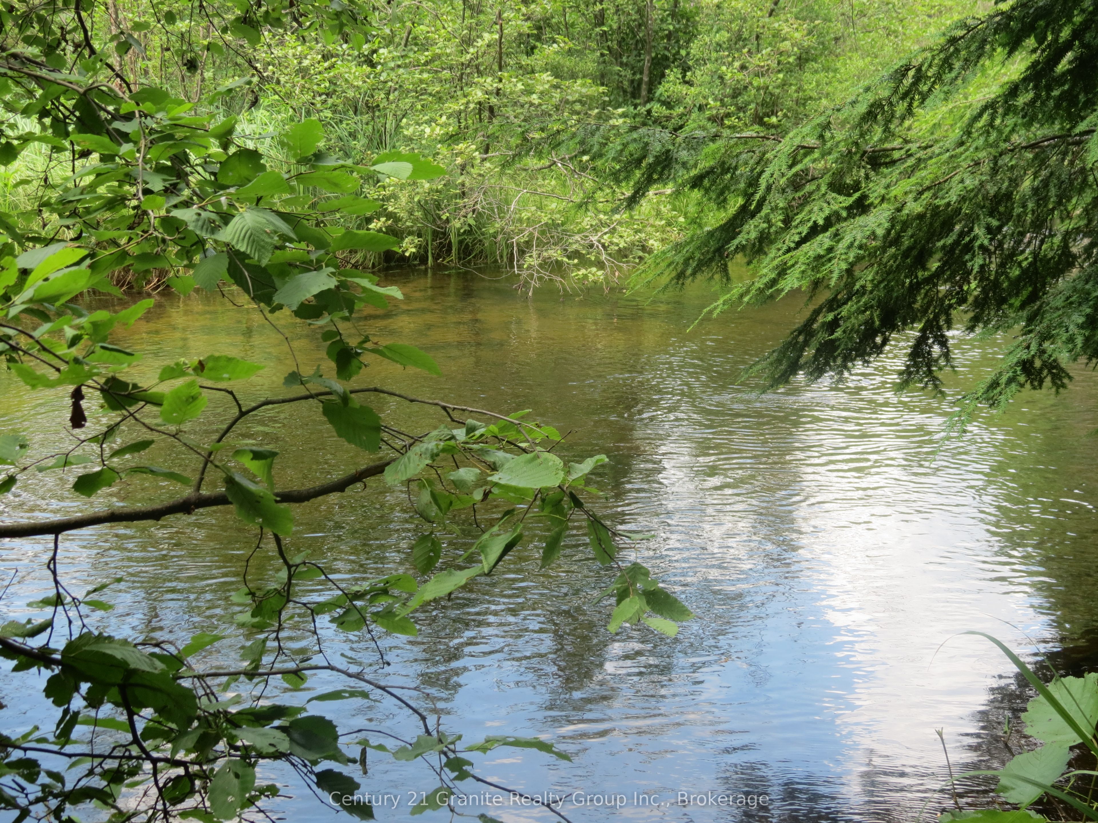 1053 Buttercup Drive Property Photo 26