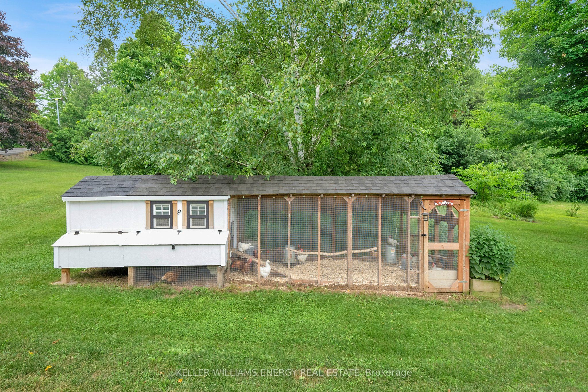 8378 Majestic Hills Drive Property Photo 8
