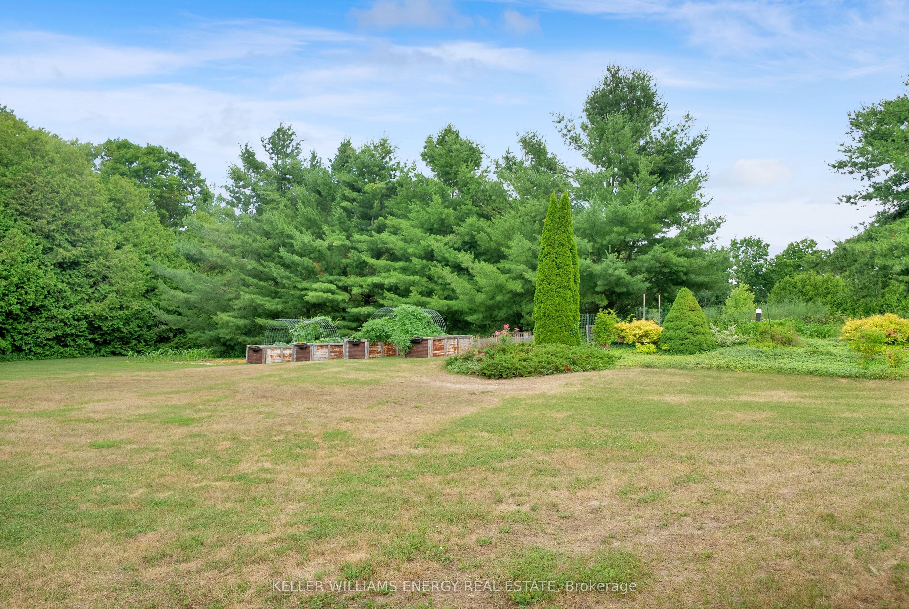 8378 Majestic Hills Drive Property Photo 47