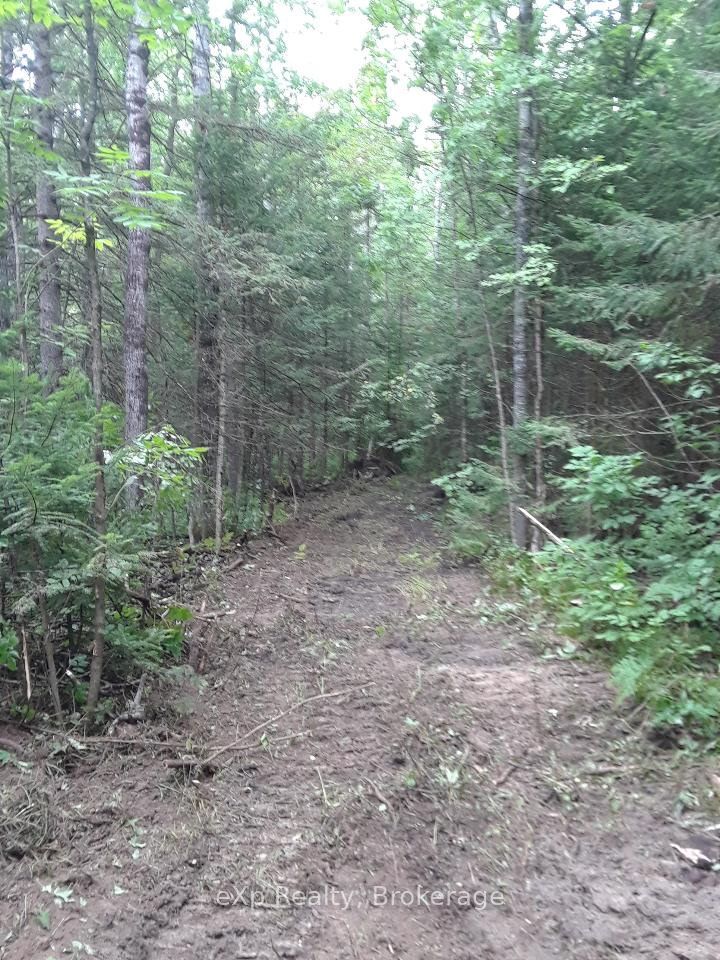 Ptlt1-2 Concession Rd 3 N/a Property Photo 6