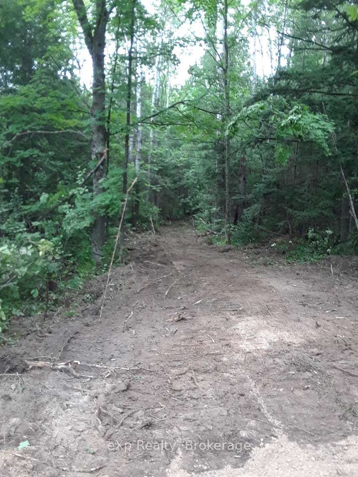 Ptlt1-2 Concession Rd 3 N/a Property Photo 7