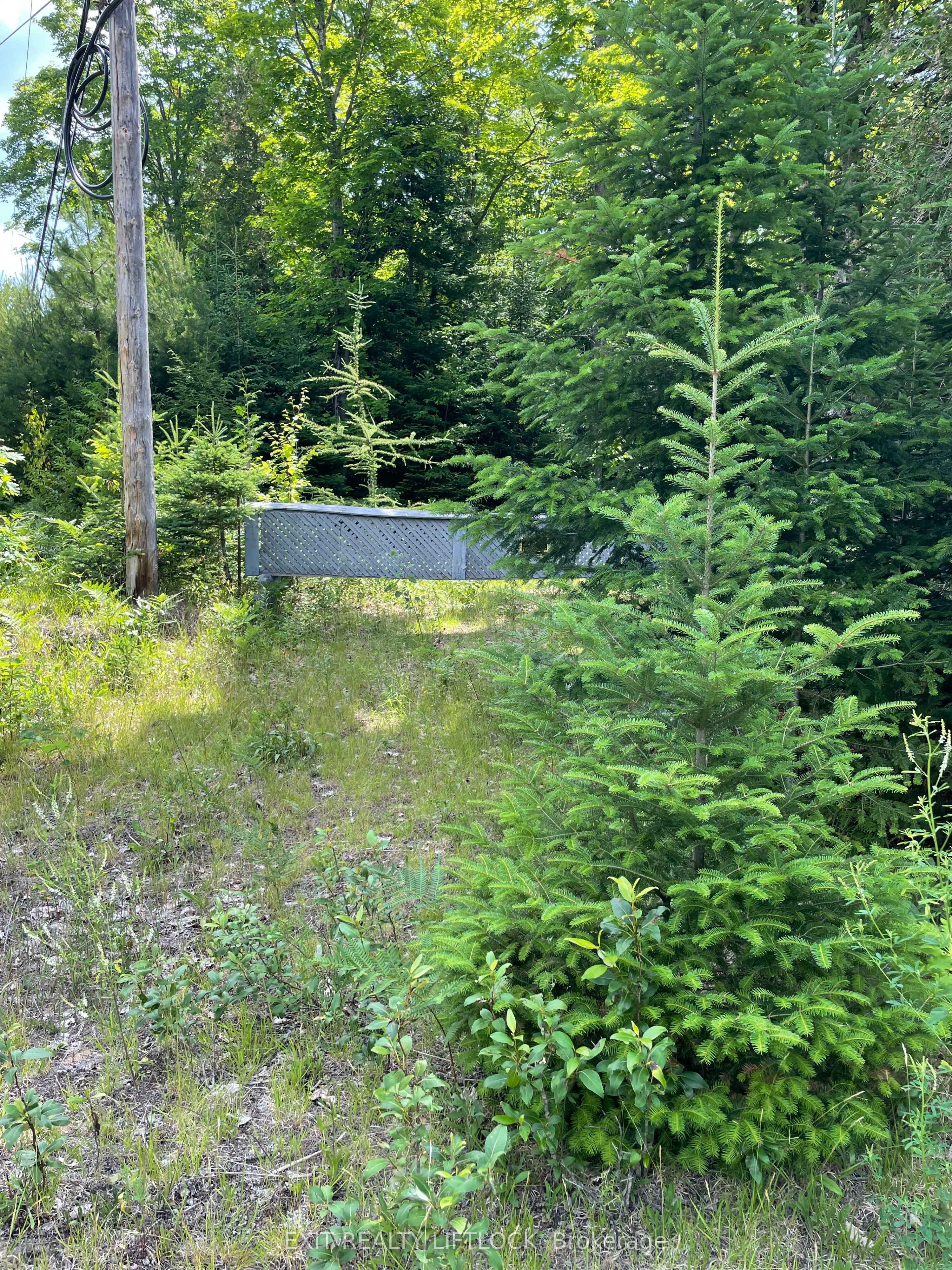 1387 County Road 620 N/a Property Photo 6