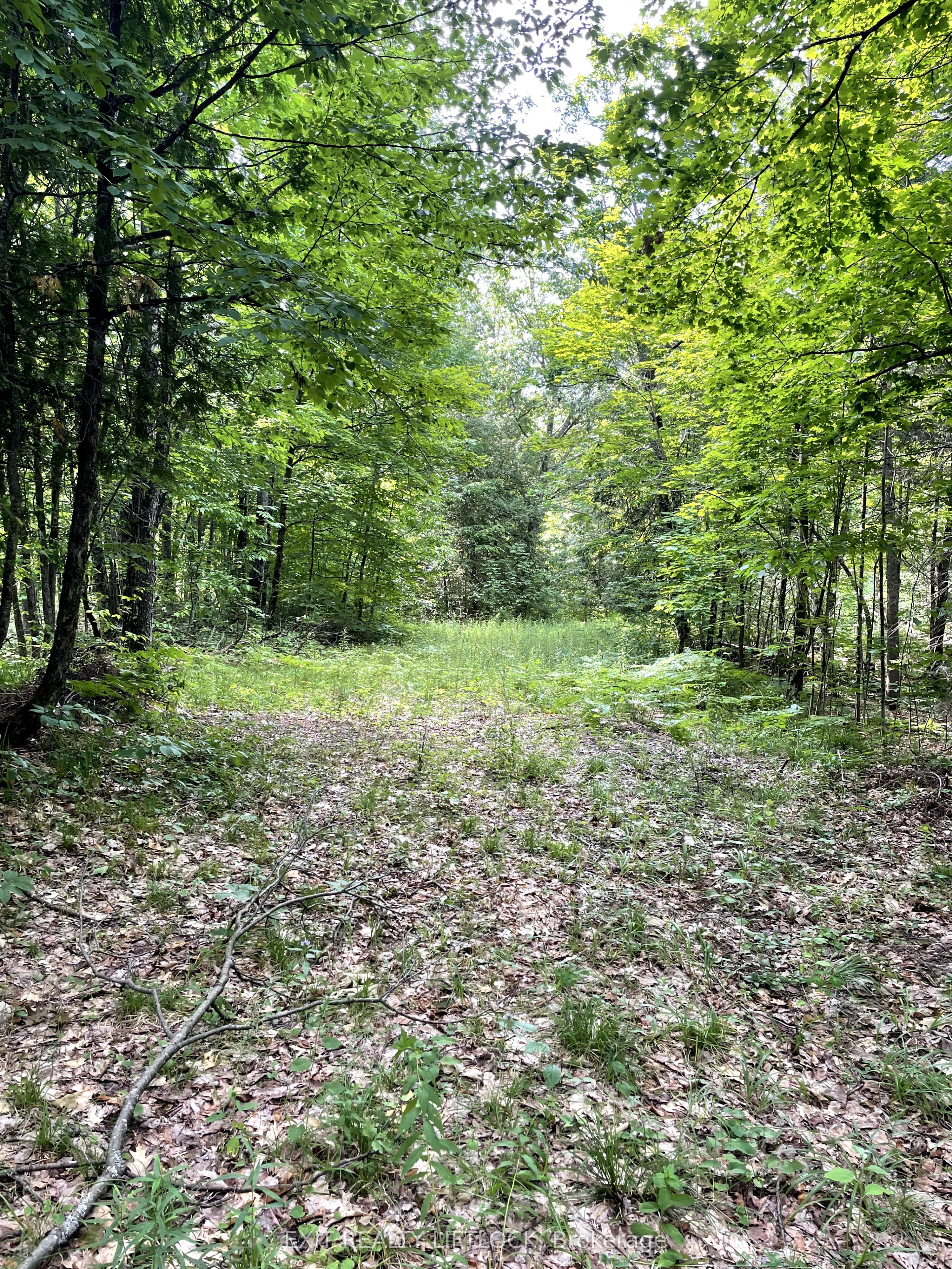 1387 County Road 620 N/a Property Photo 8