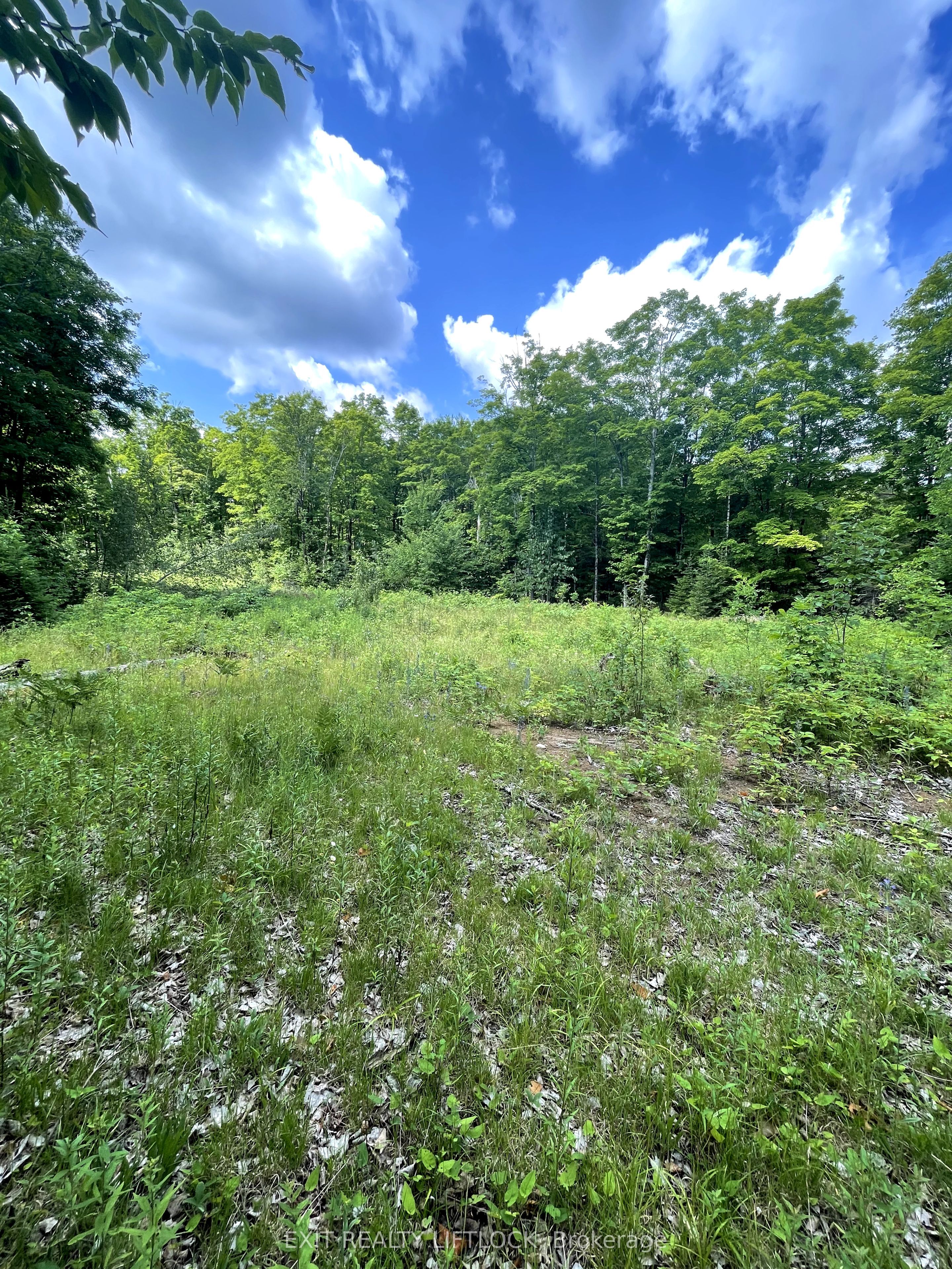 1387 County Road 620 N/a Property Photo 9