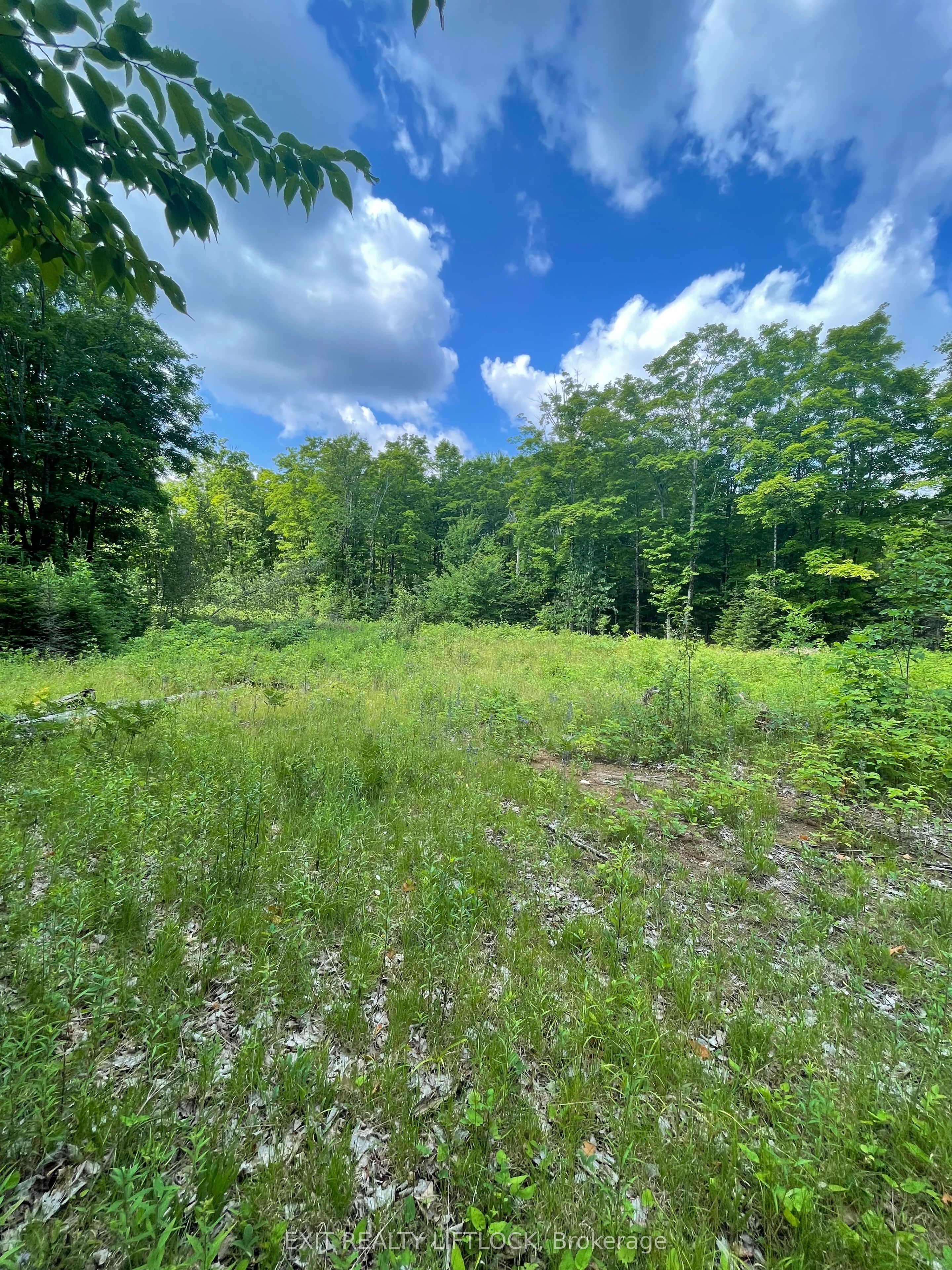 1387 County Road 620 N/a Property Photo 10