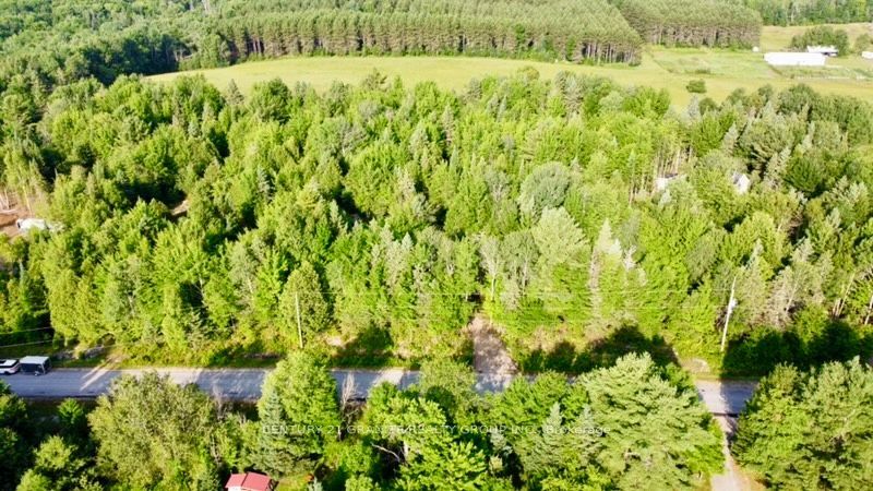 5280 Boulter Road Property Photo 1