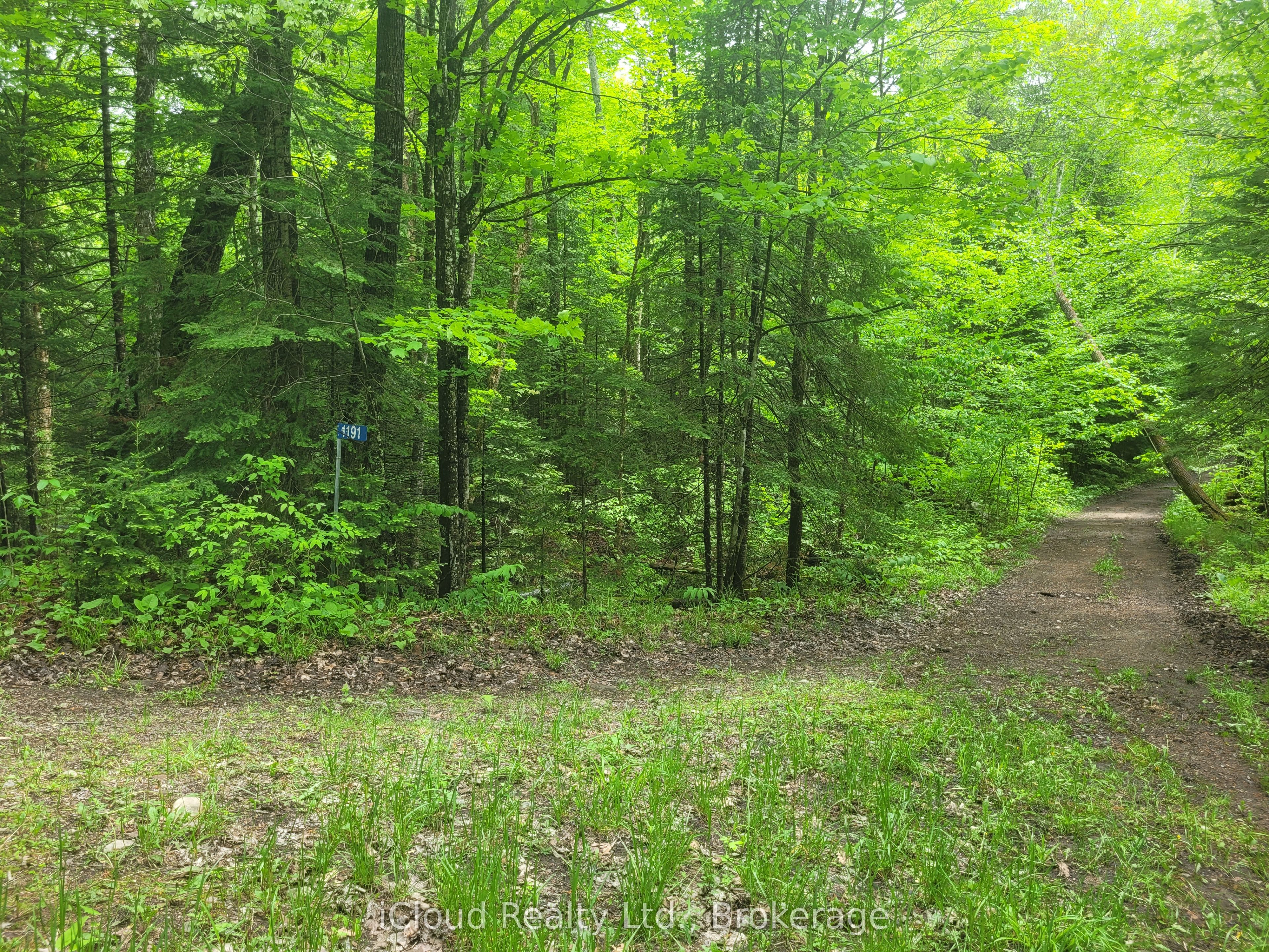 1191 Odessa Trail Property Photo 5