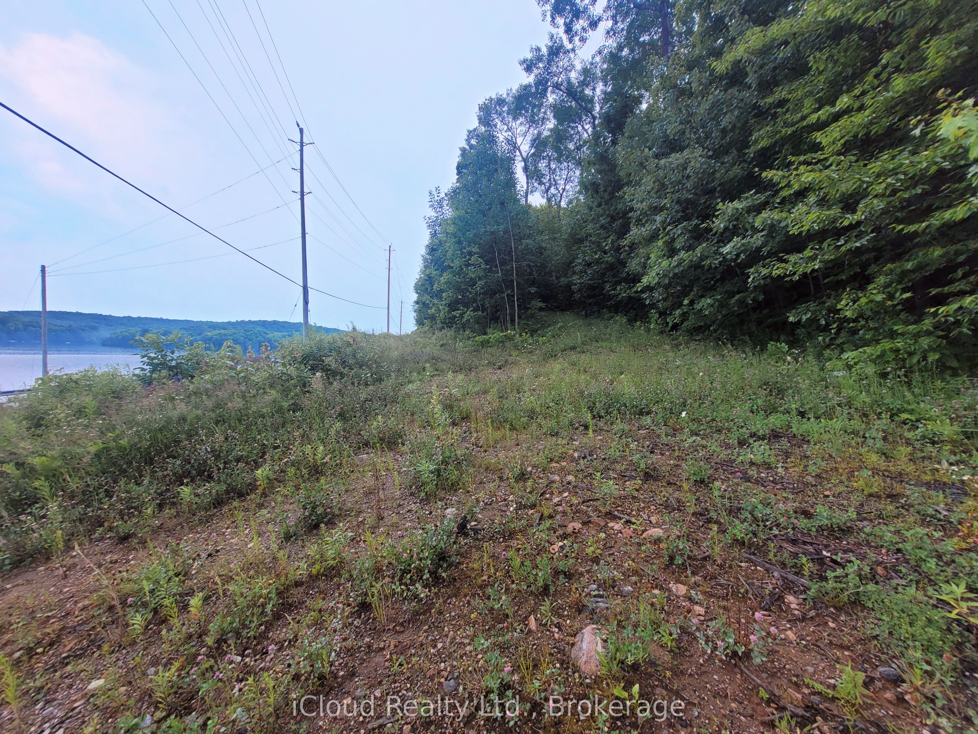 1191 Odessa Trail Property Photo 9