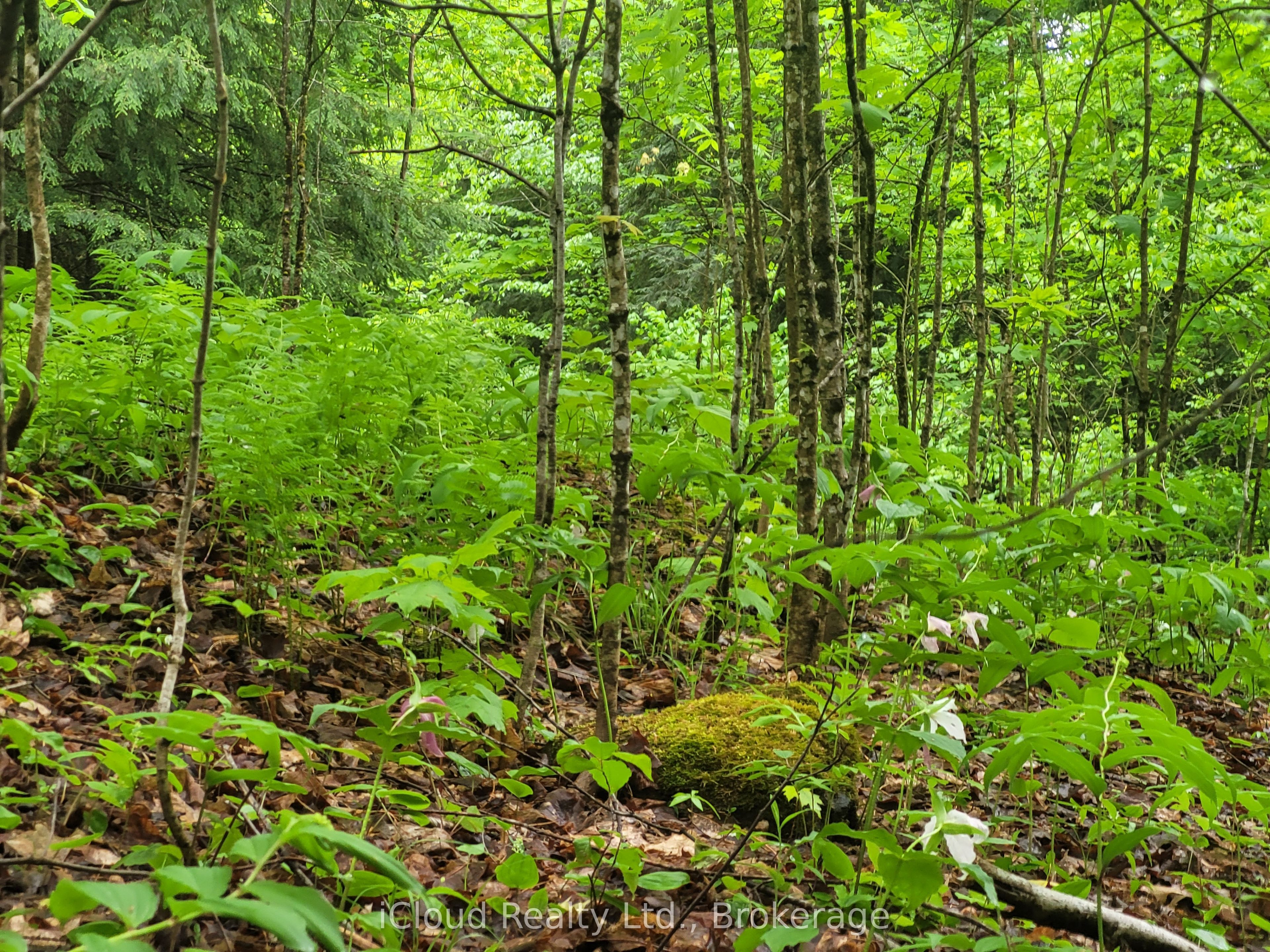 1191 Odessa Trail Property Photo 39