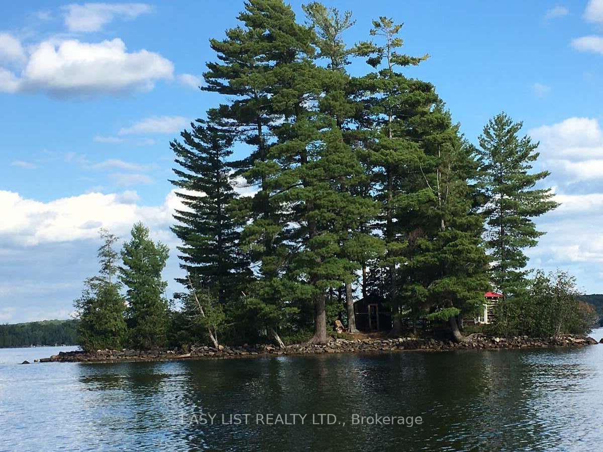 1045 Reynolds Road Property Photo 34