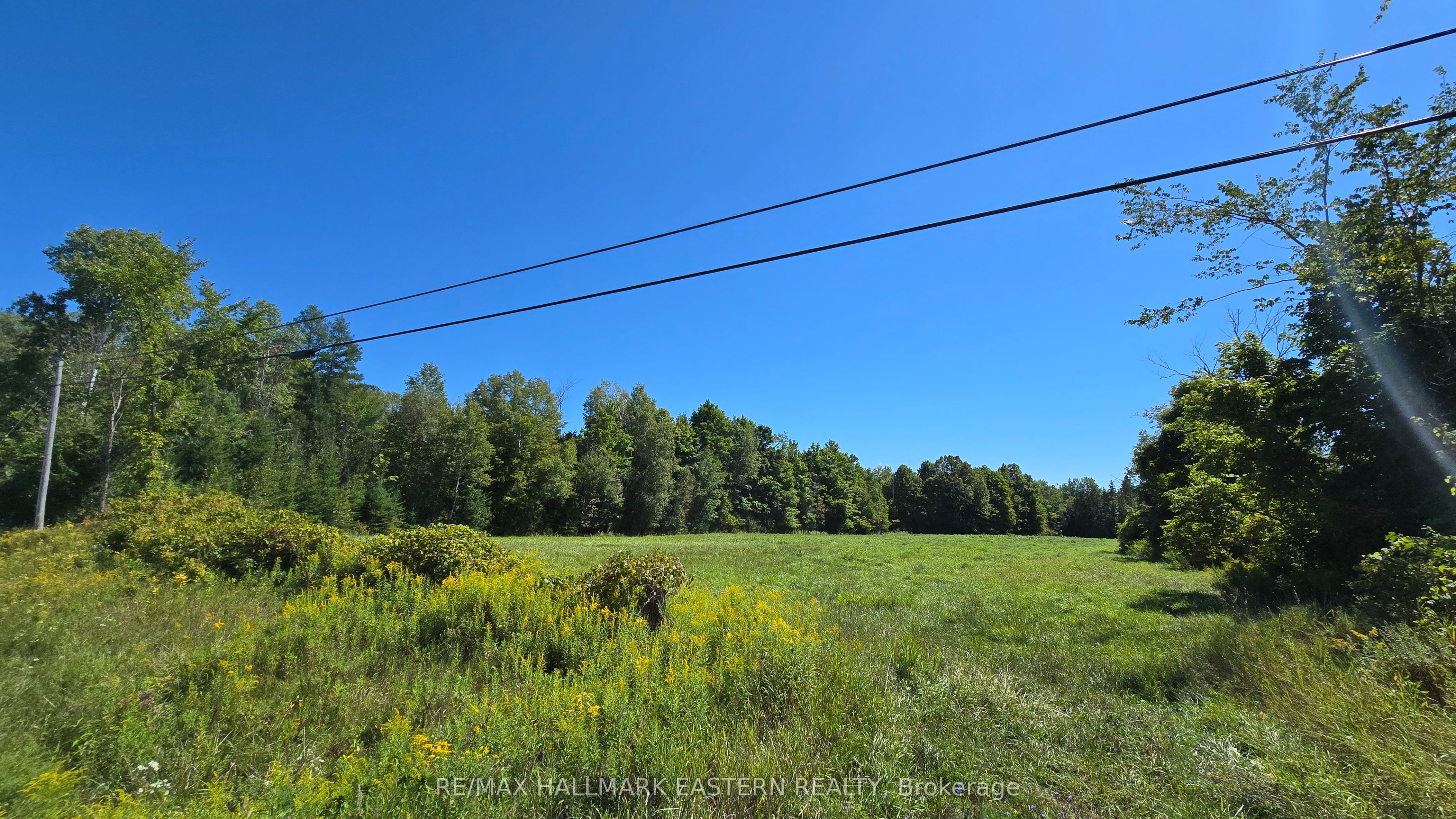 N/a County 48 Road Property Photo 5