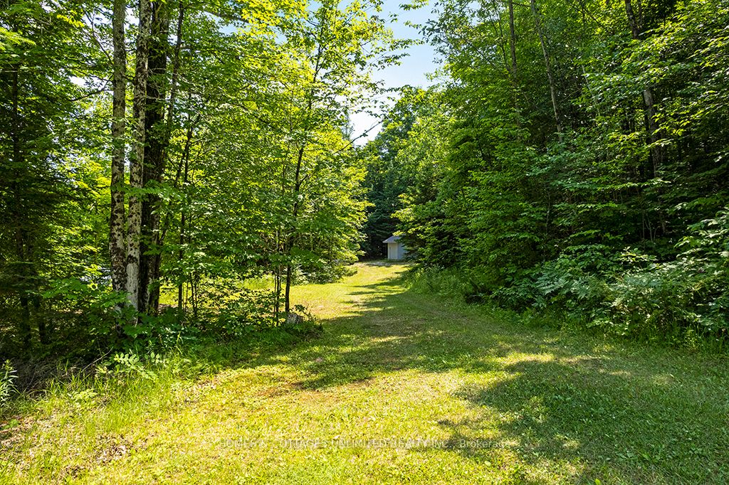 9531 509 Highway Property Photo 6
