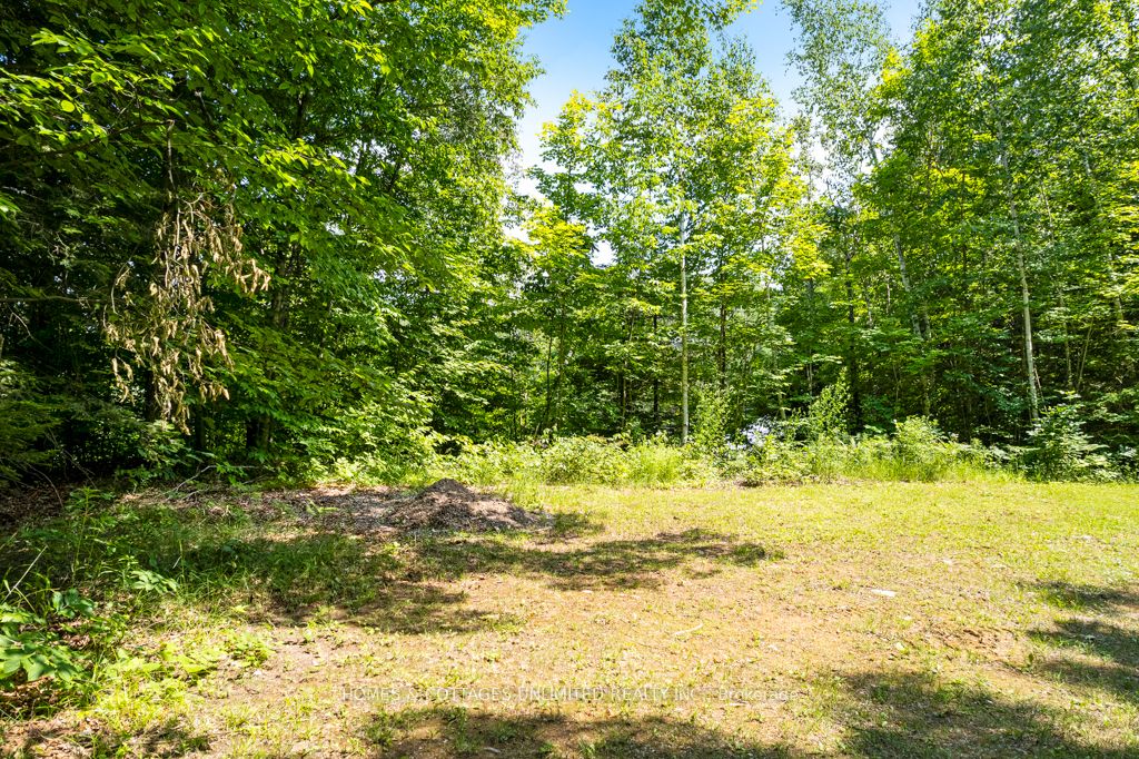 9531 509 Highway Property Photo 11