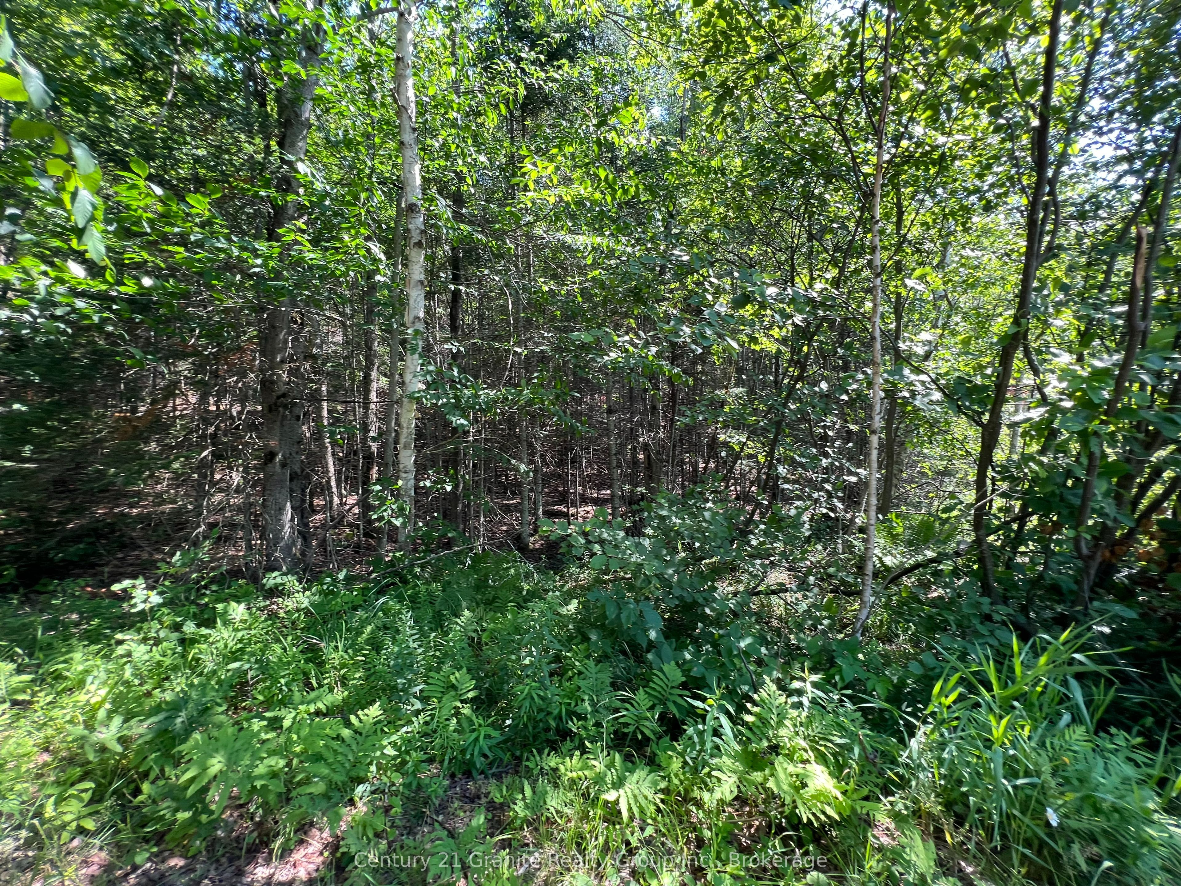 Lot 29 West Court Property Photo 1