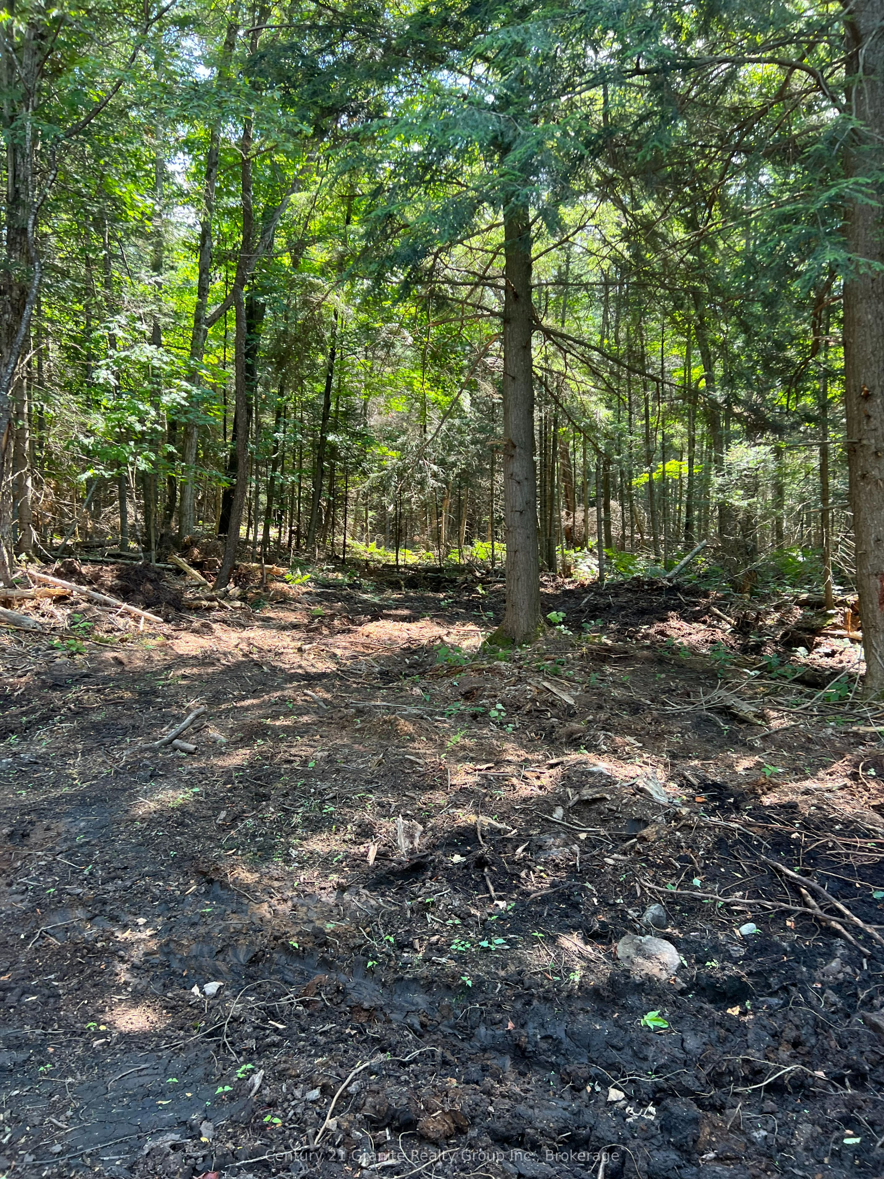 Lot 29 West Court Property Photo 3