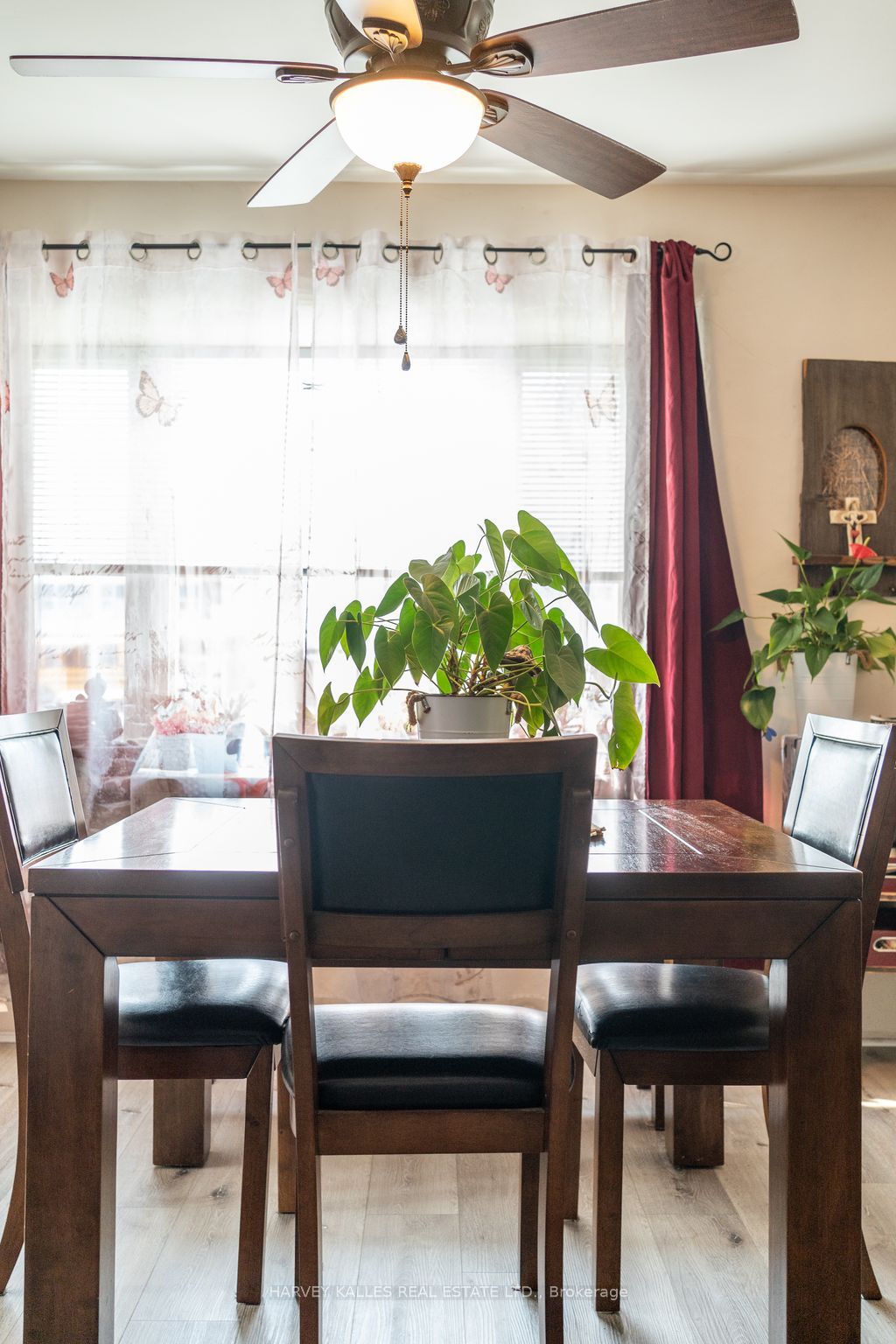 46 Barker Street Property Photo 11