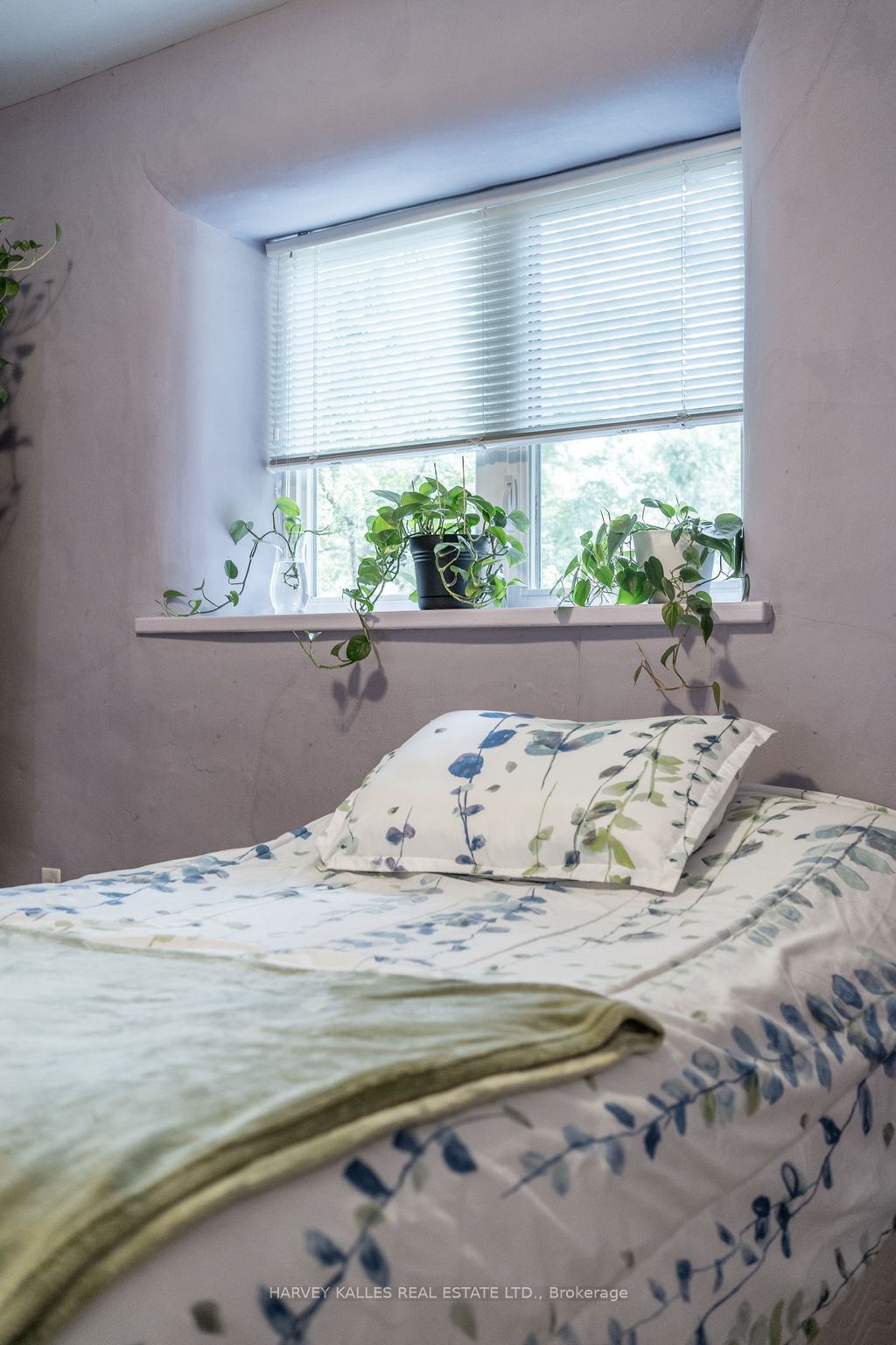 46 Barker Street Property Photo 18