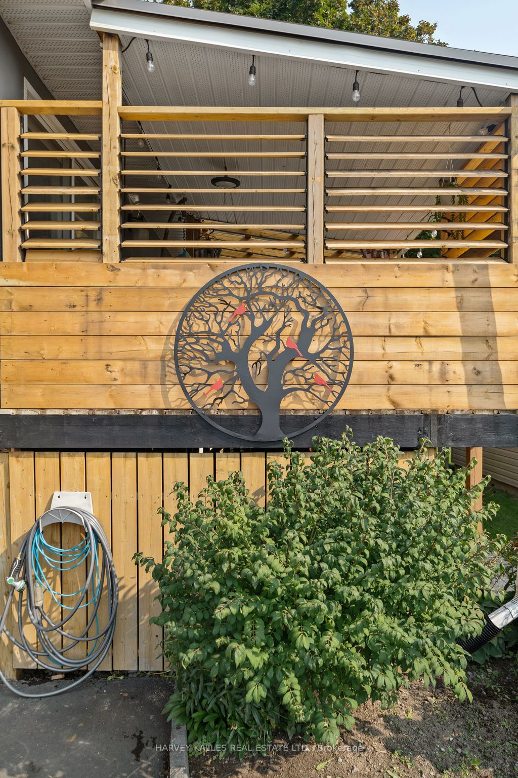 46 Barker Street Property Photo 33