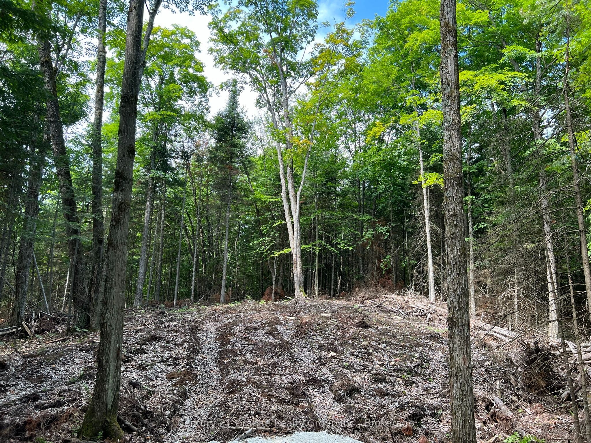 Lot 26 West Court Property Photo 1