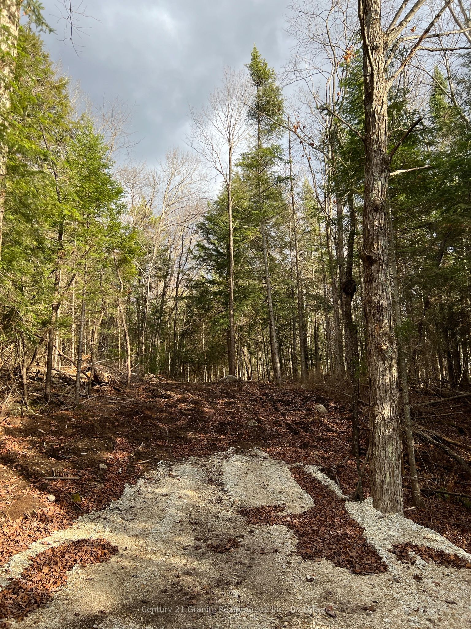 Lot 27 Bushwolf Lake Road Property Photo 1