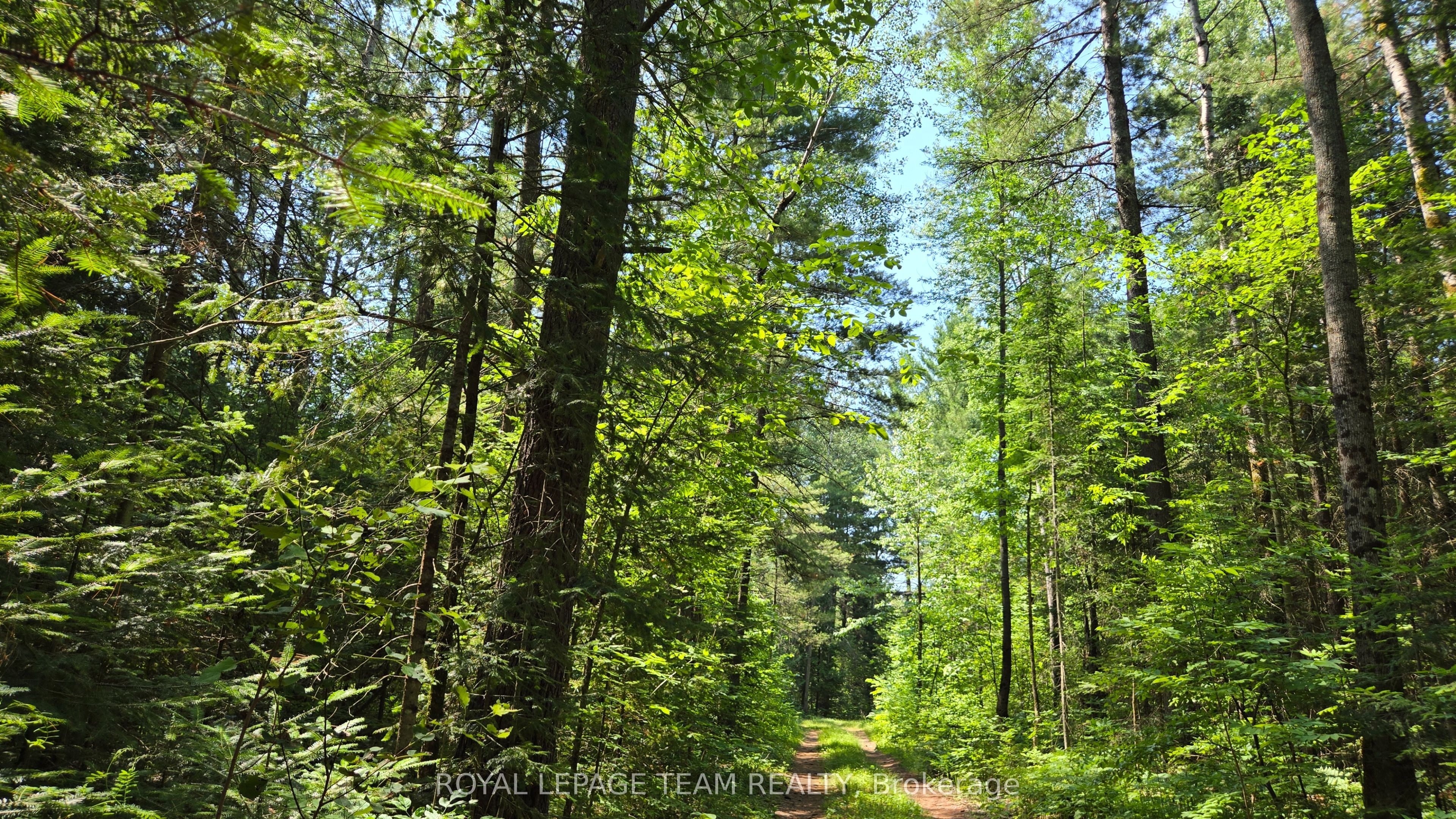 00 Highway 41 Highway Property Photo 9