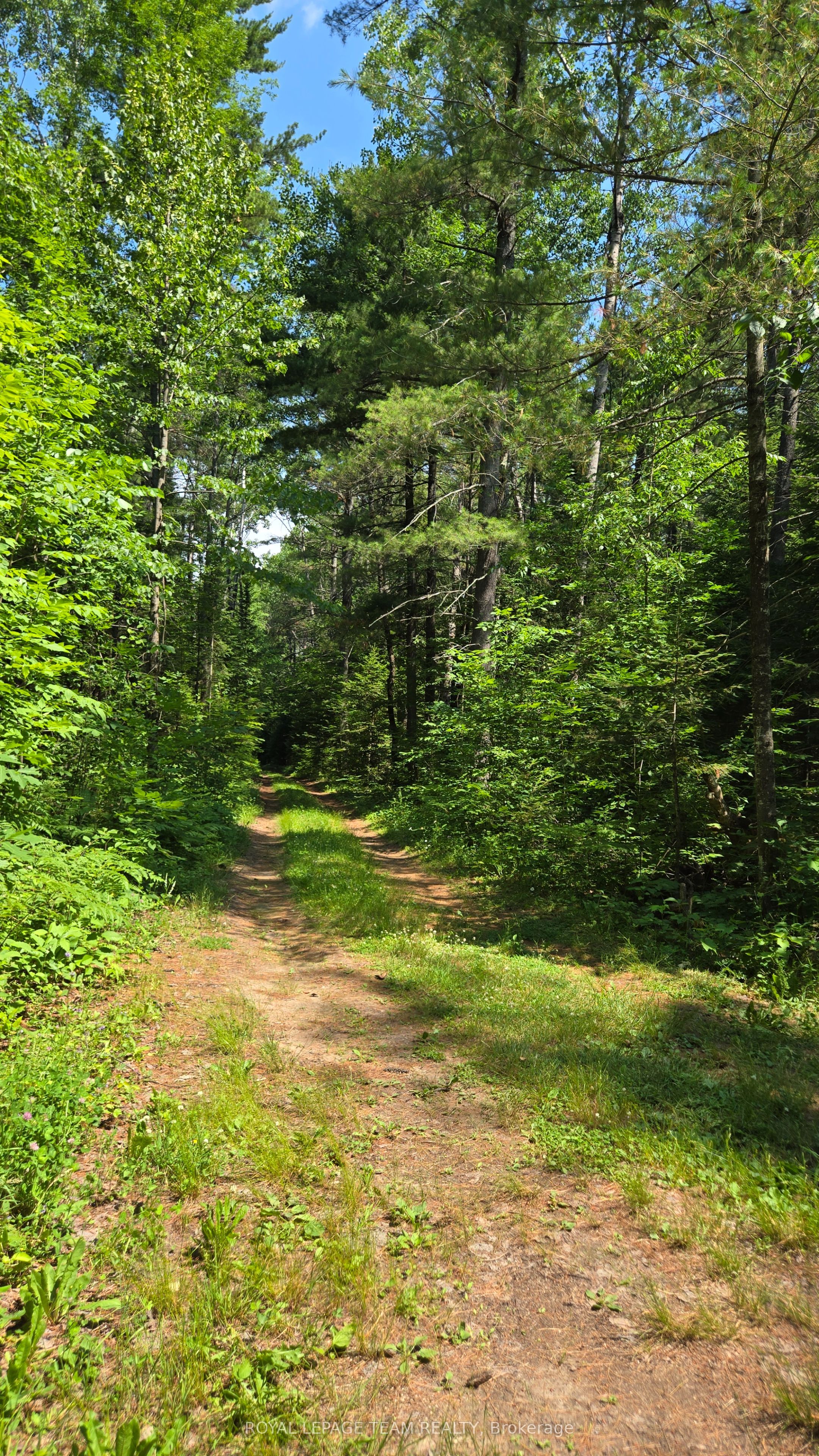 00 Highway 41 Highway Property Photo 29
