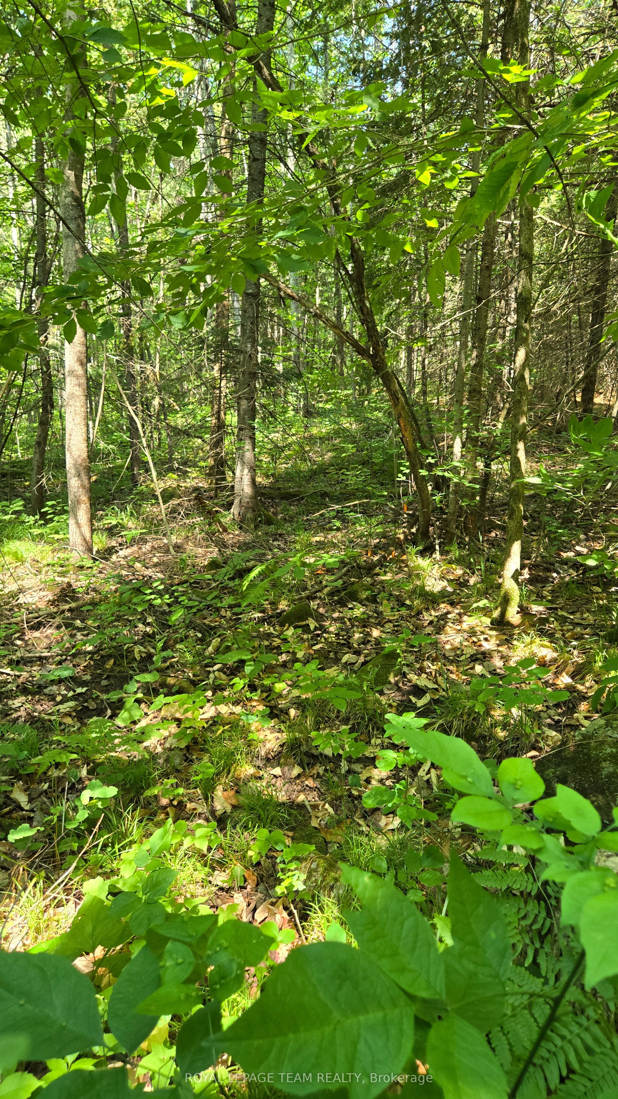 00 Highway 41 Highway Property Photo 30