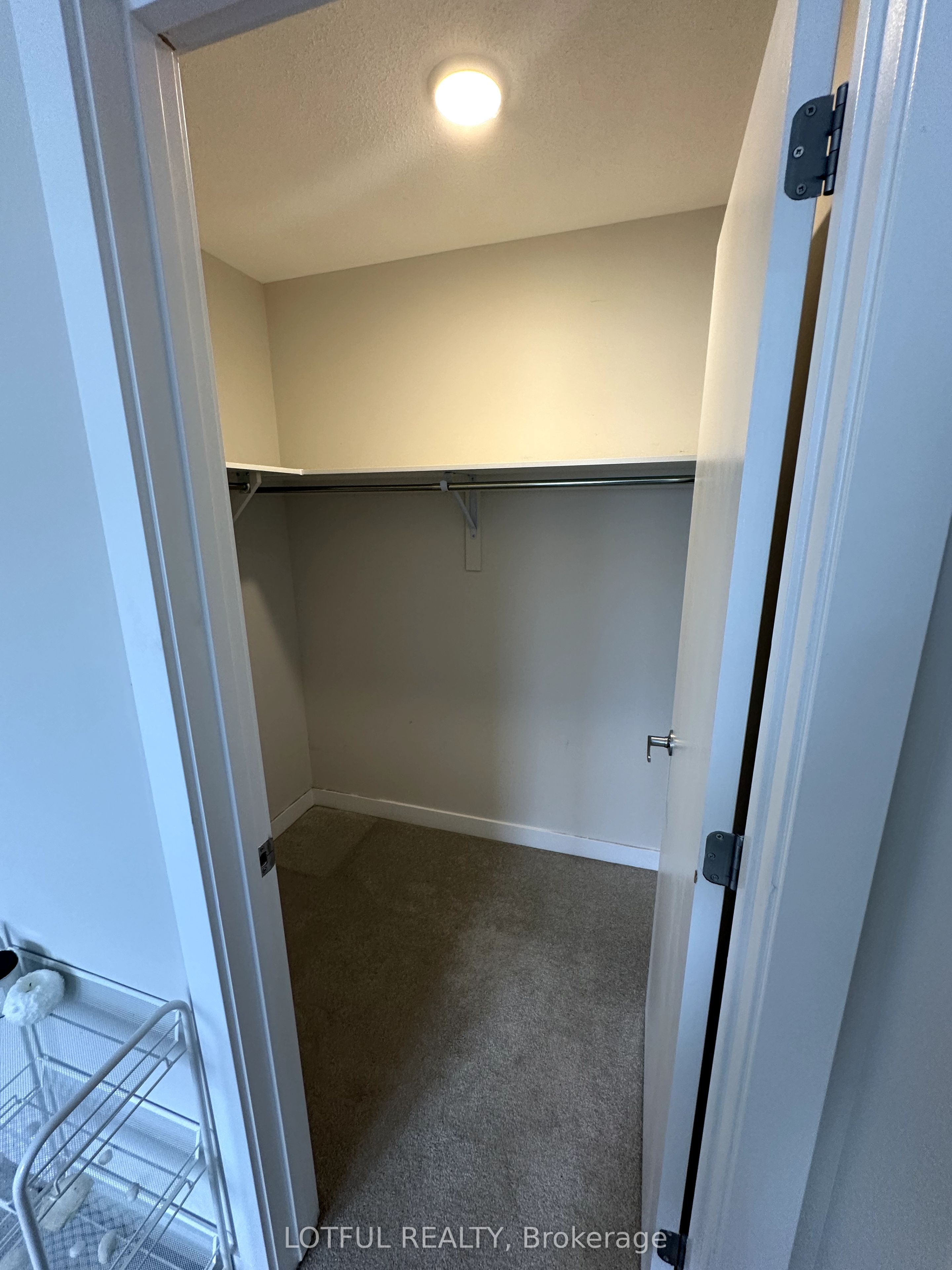 44 Chasing Grove Property Photo 10