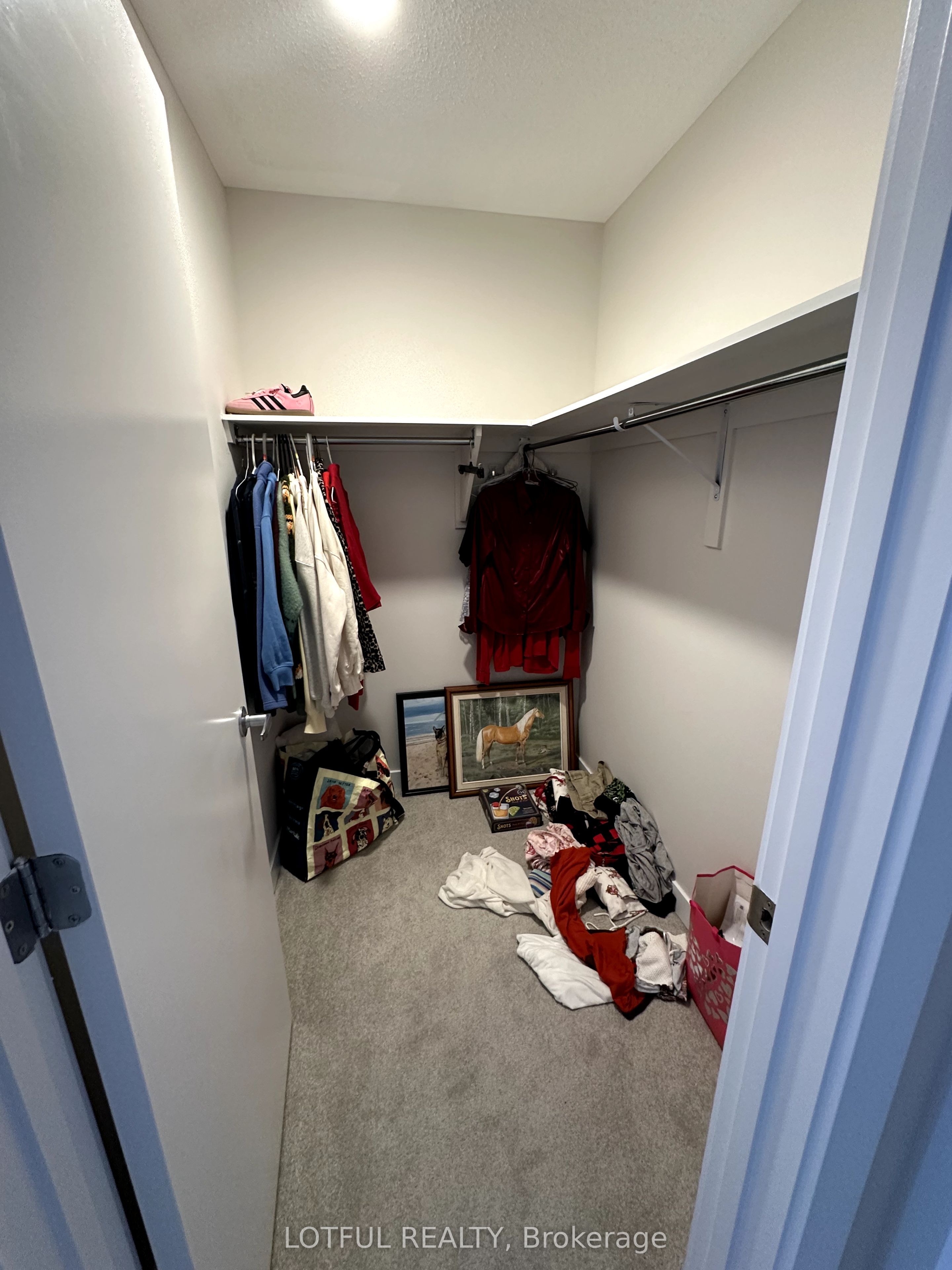 44 Chasing Grove Property Photo 14