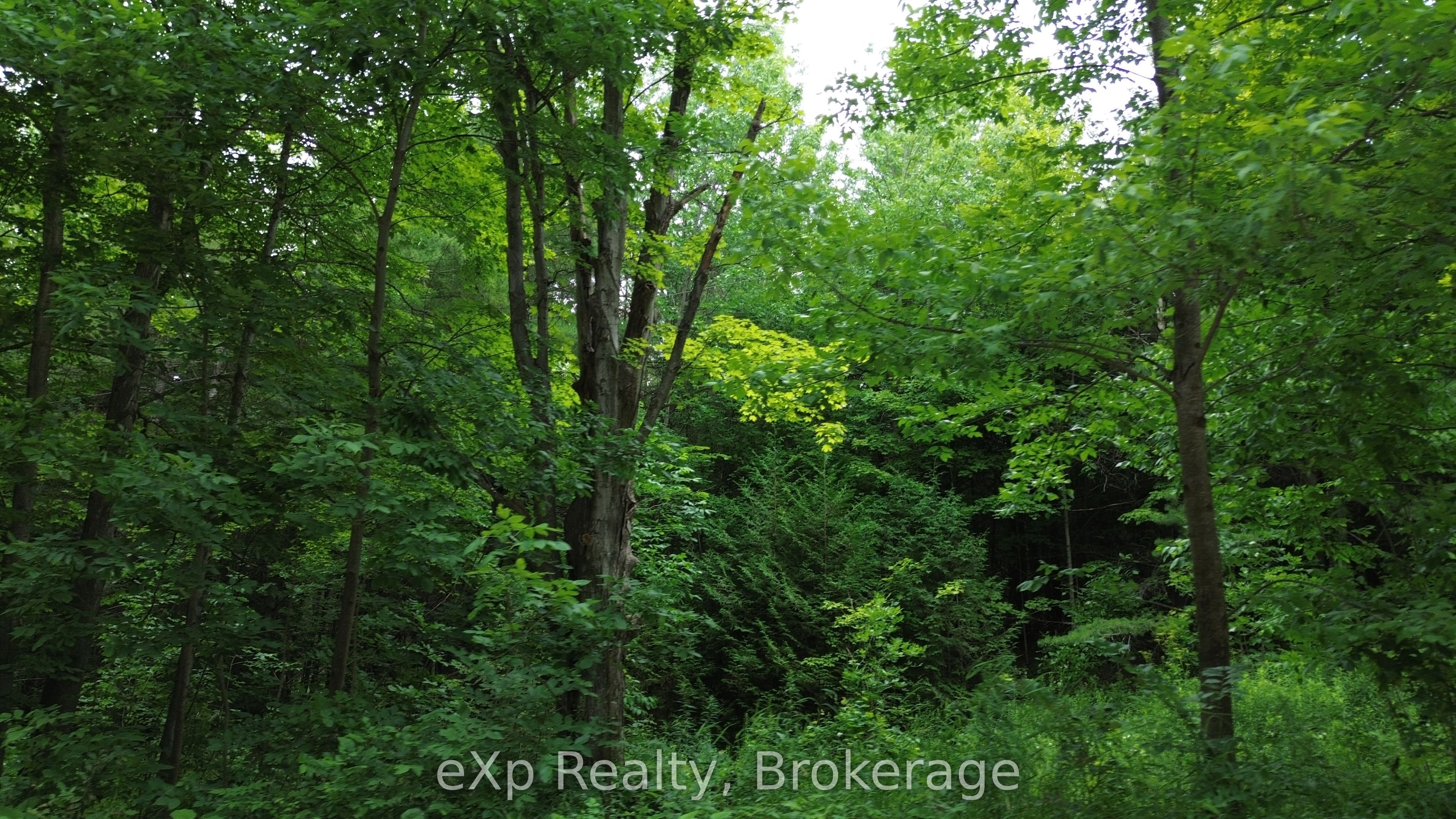 720227 Sideroad 20 Side Road Property Photo 1