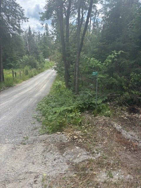 207 Dutch Line Property Photo 1