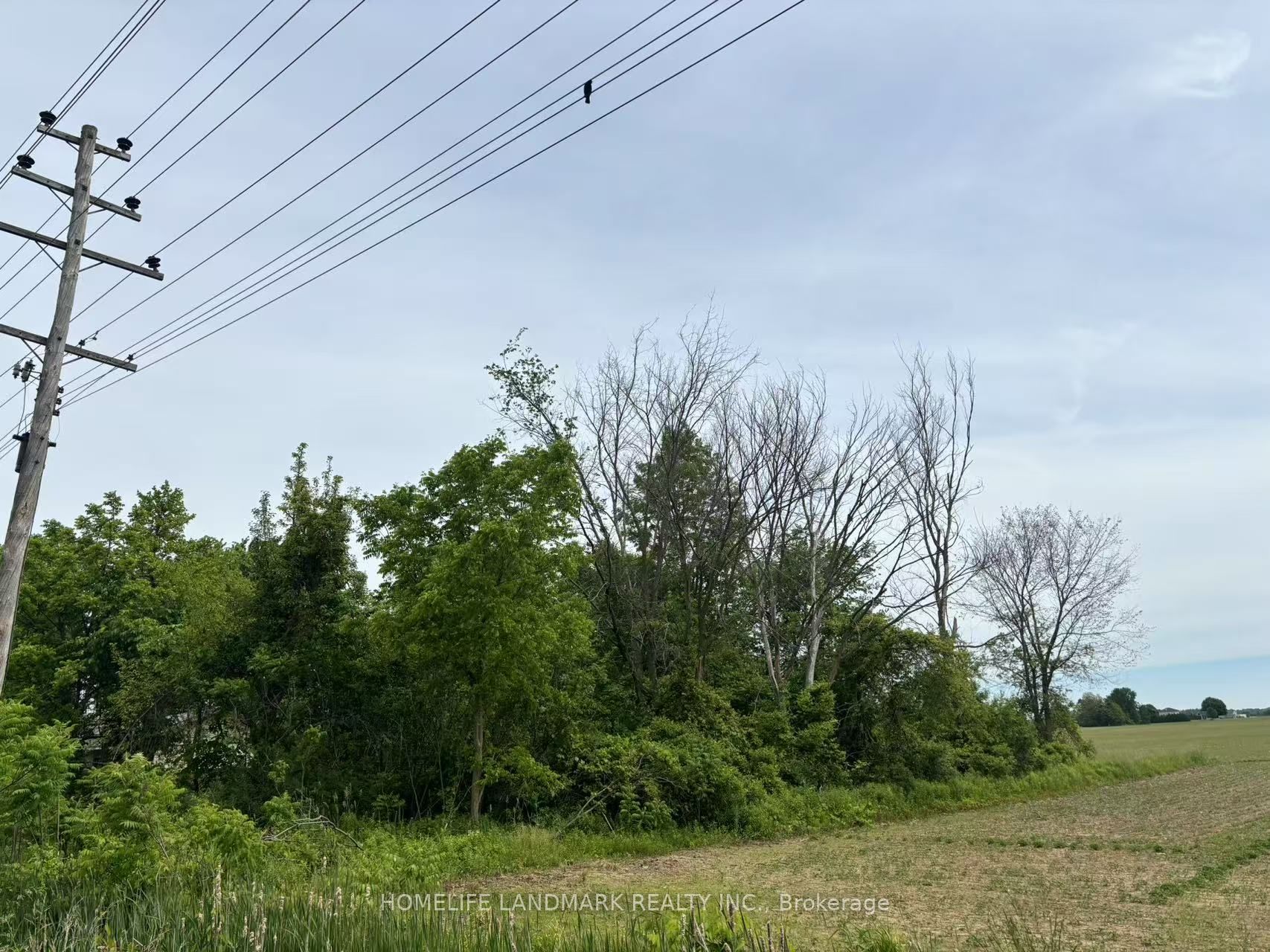1146 Blueline Road Property Photo 6