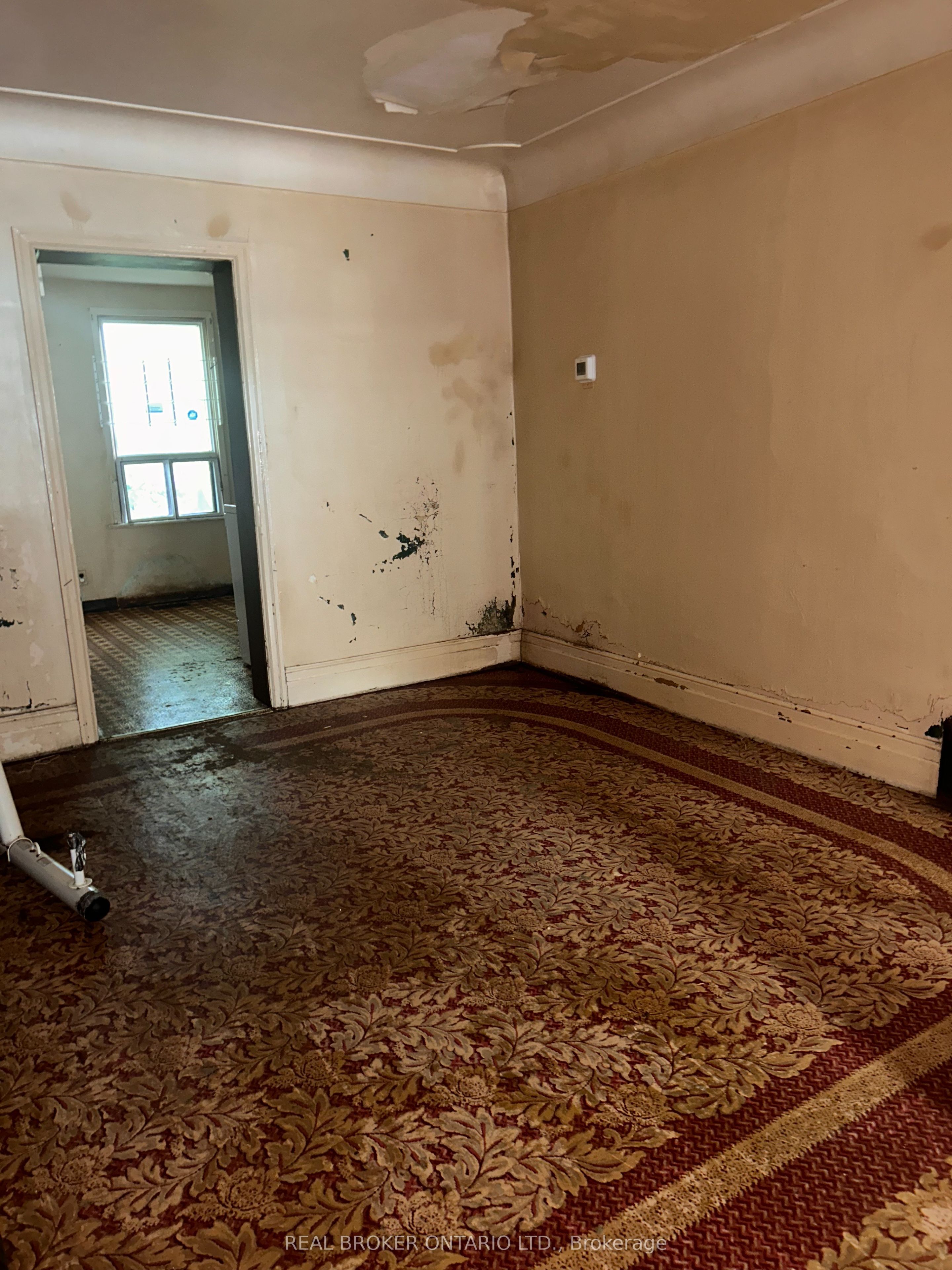 23 Edward Street Property Photo 3