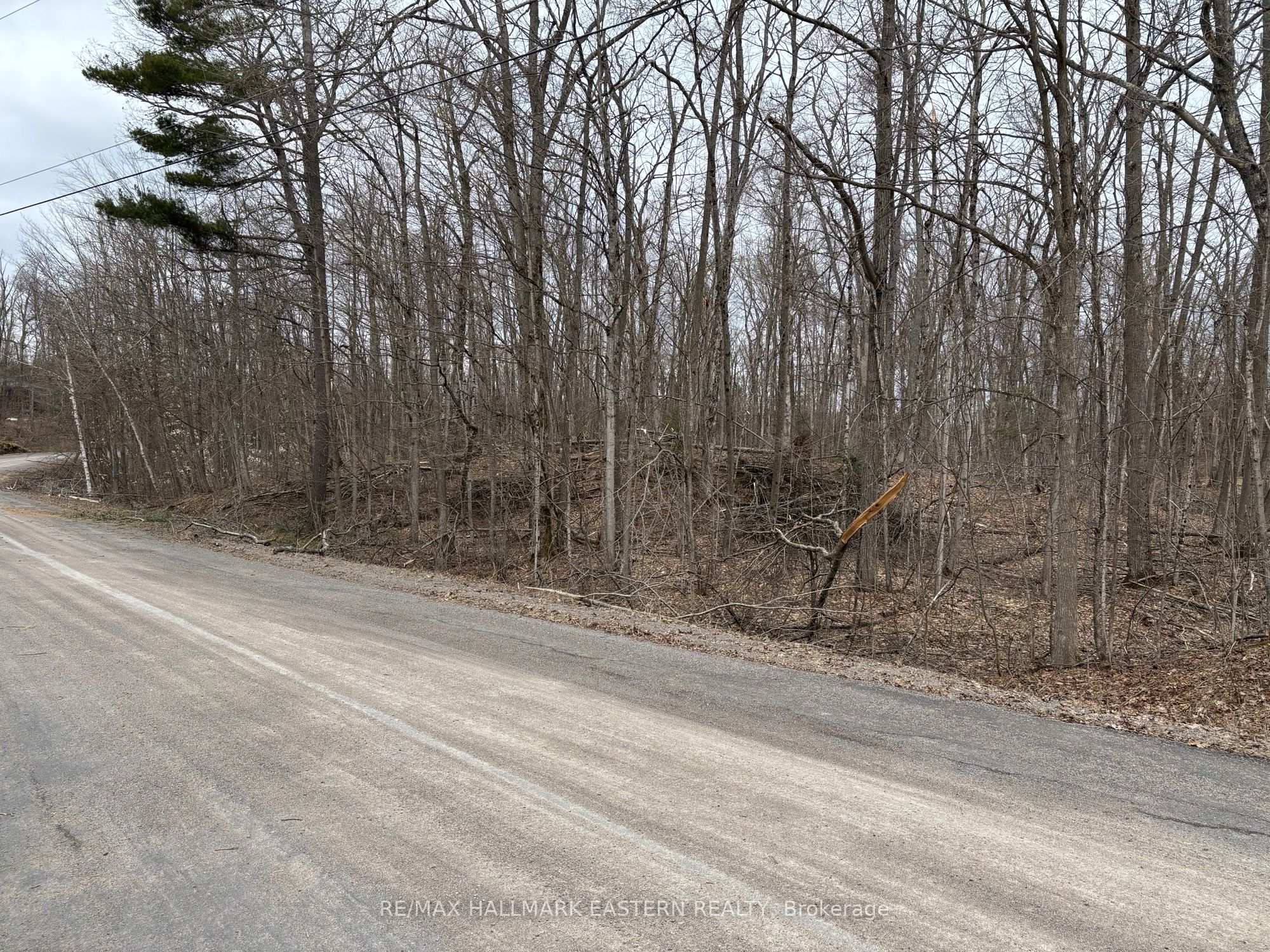 96 Woodland Court Property Photo 2