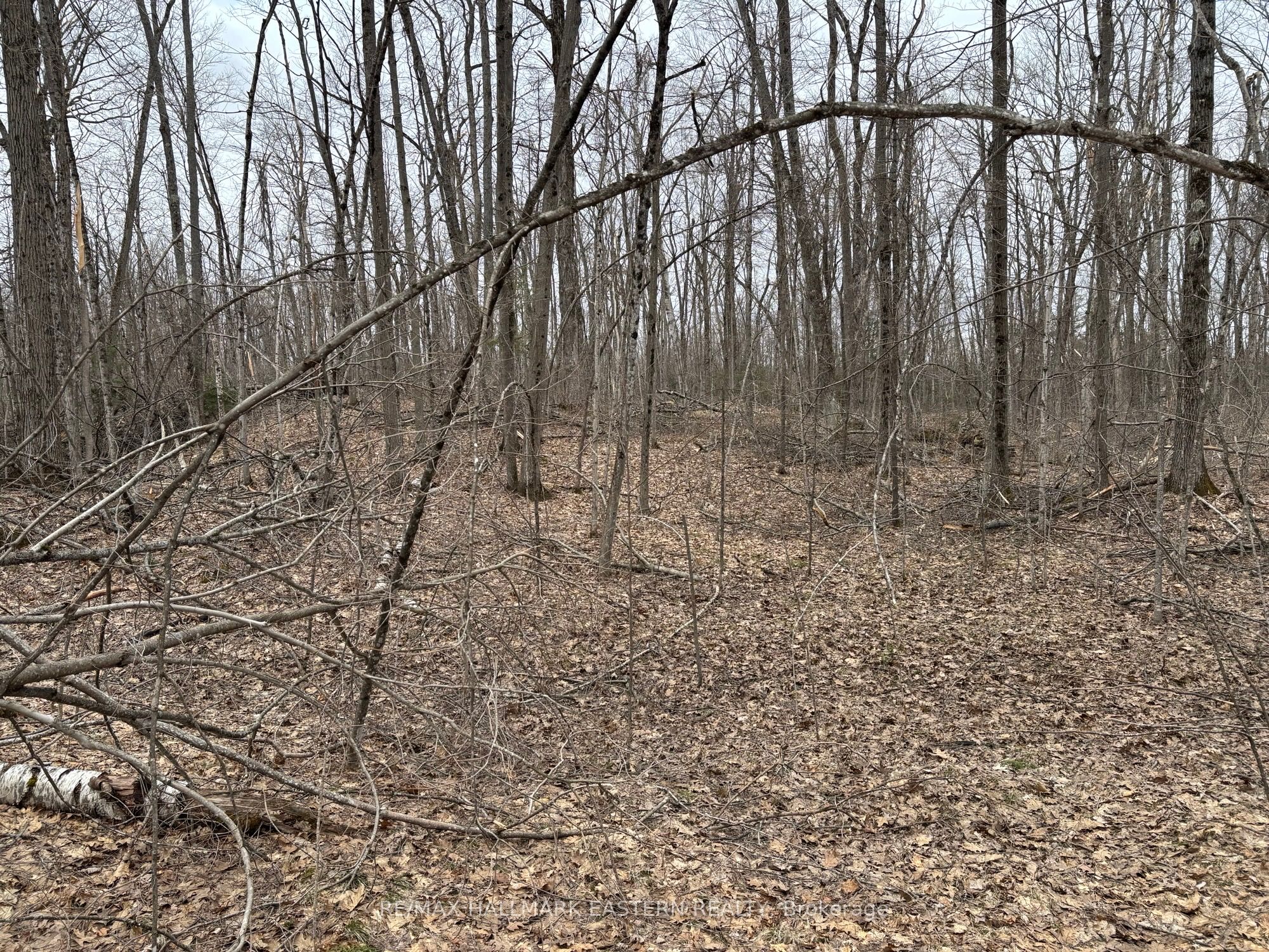 96 Woodland Court Property Photo 3