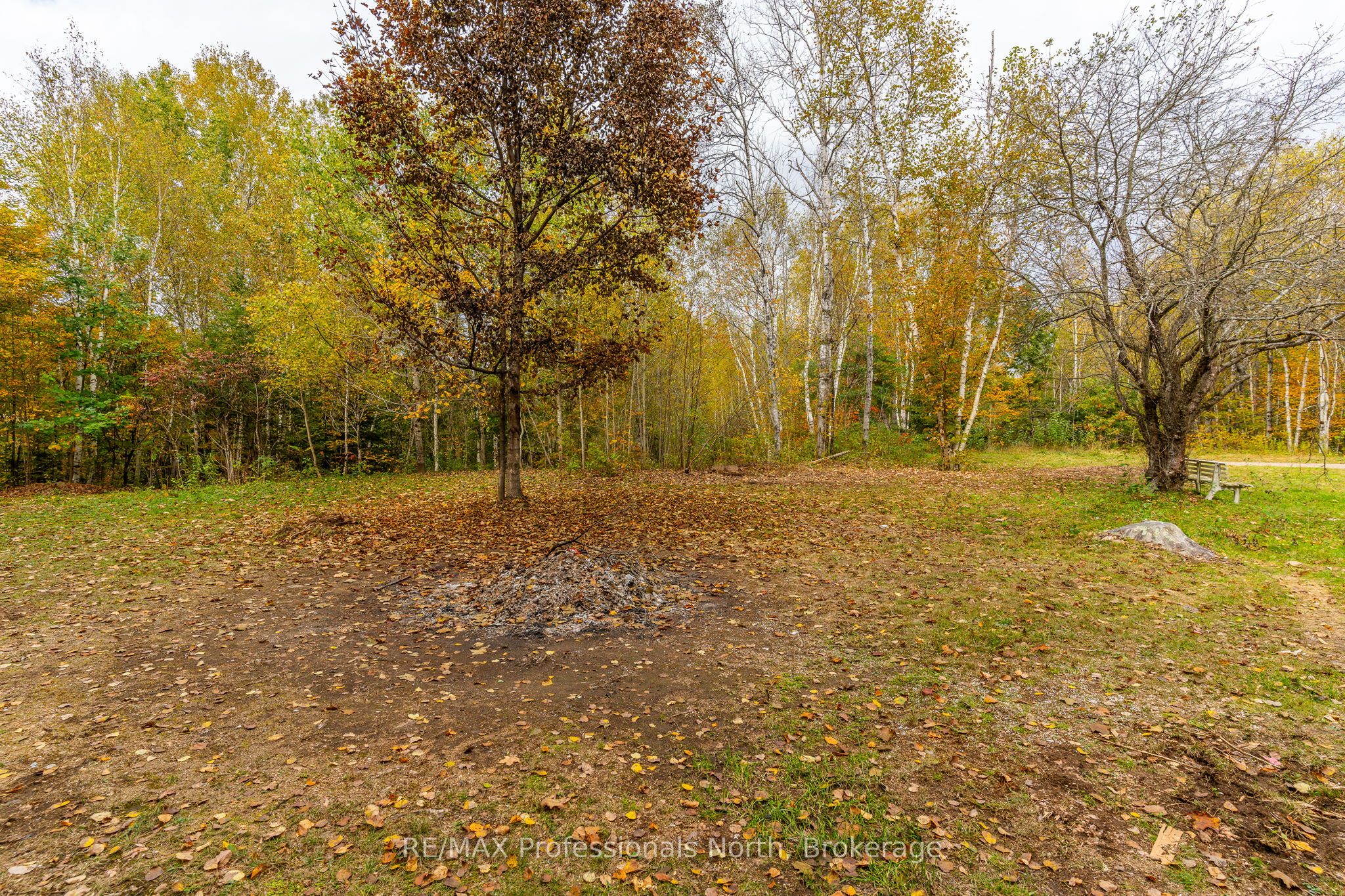 1600 Bobcaygeon Road Property Photo 3