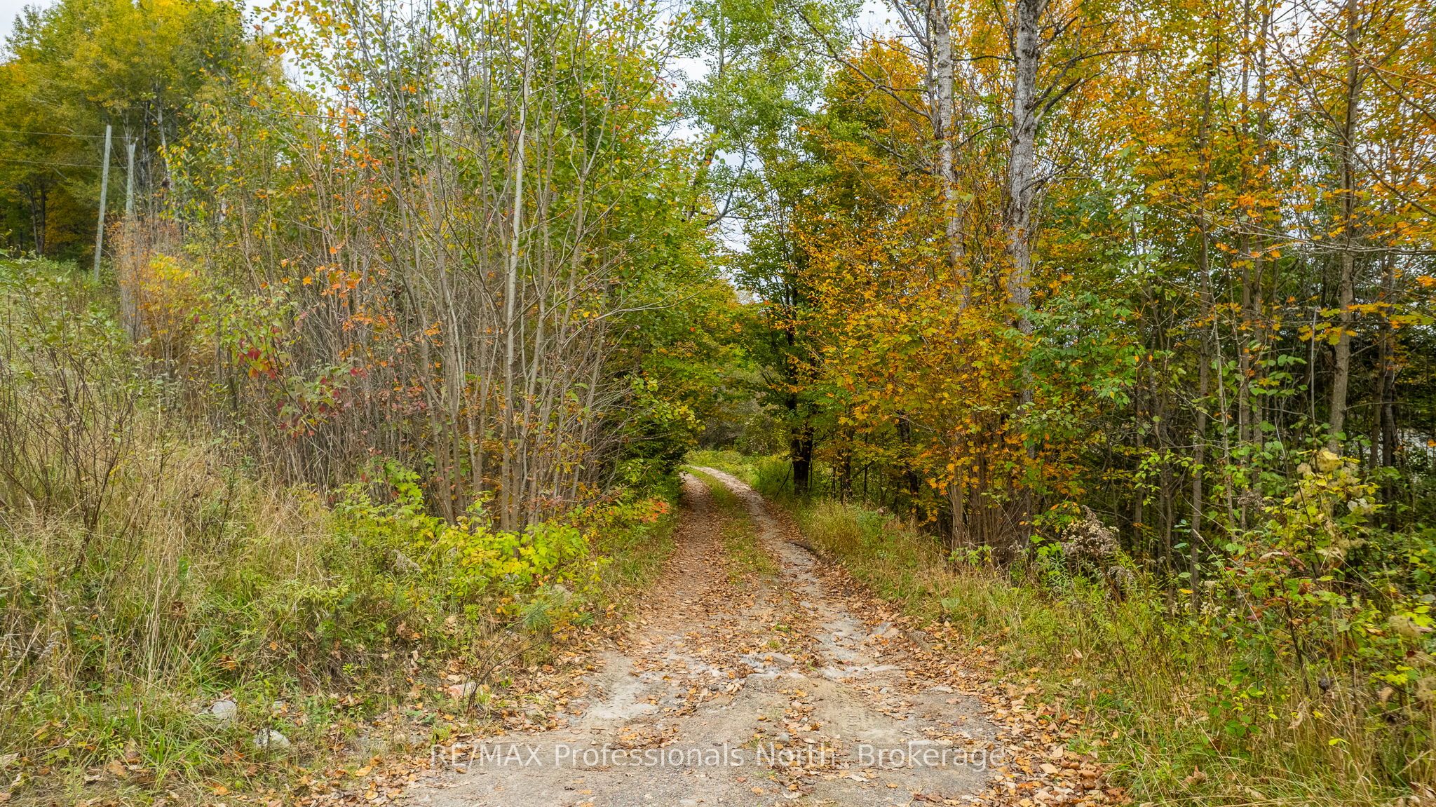 1600 Bobcaygeon Road Property Photo 6