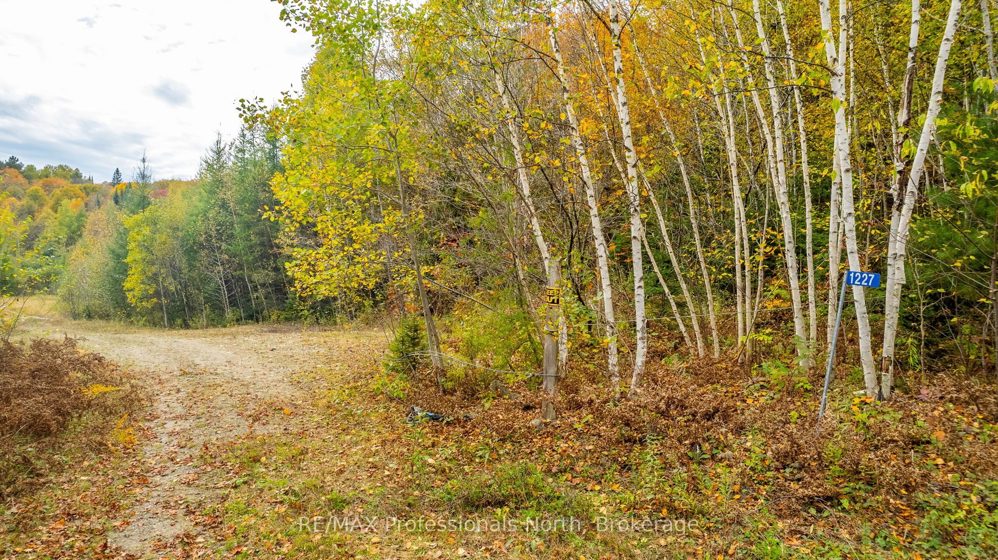 1600 Bobcaygeon Road Property Photo 7
