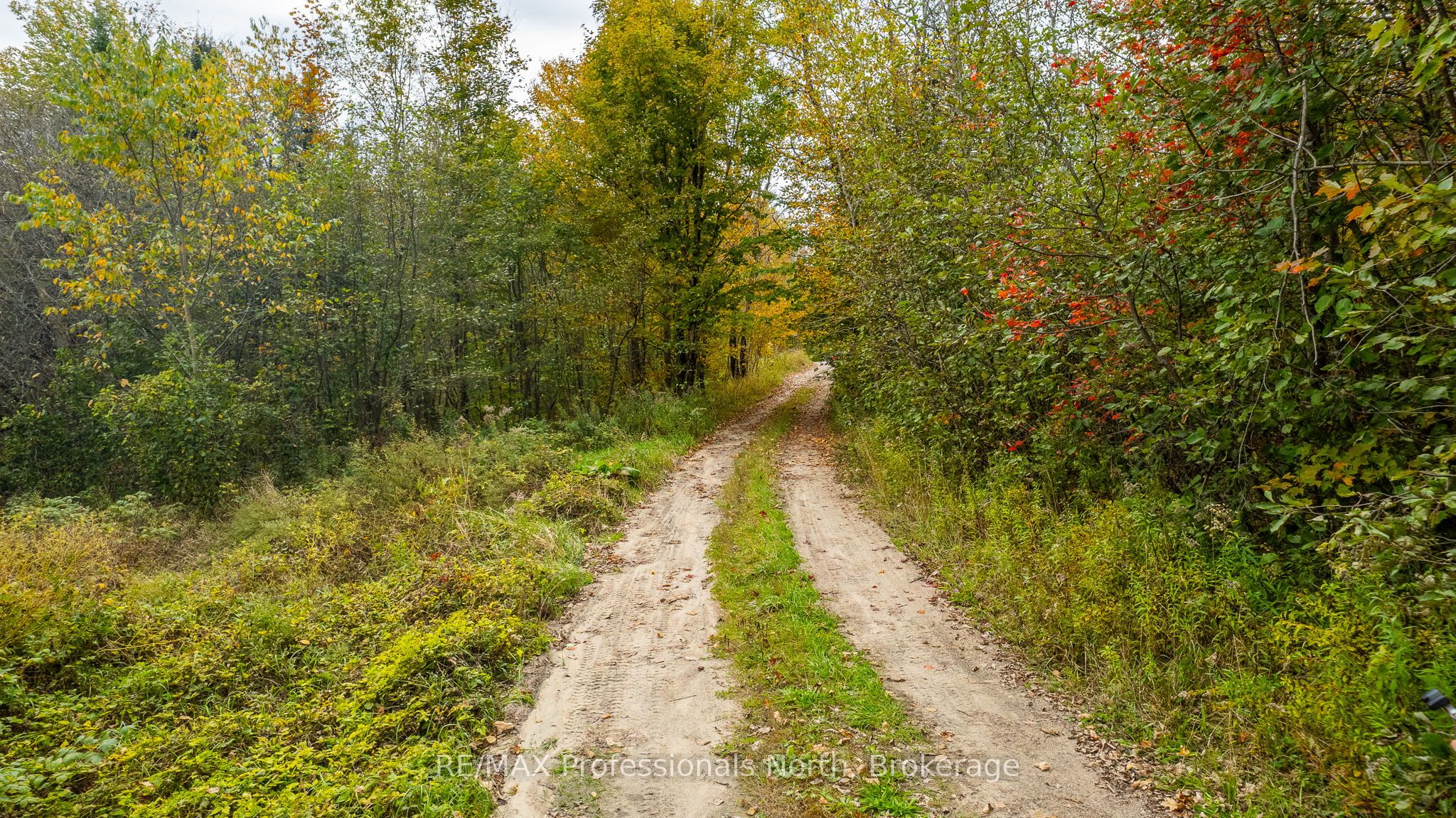 1600 Bobcaygeon Road Property Photo 8