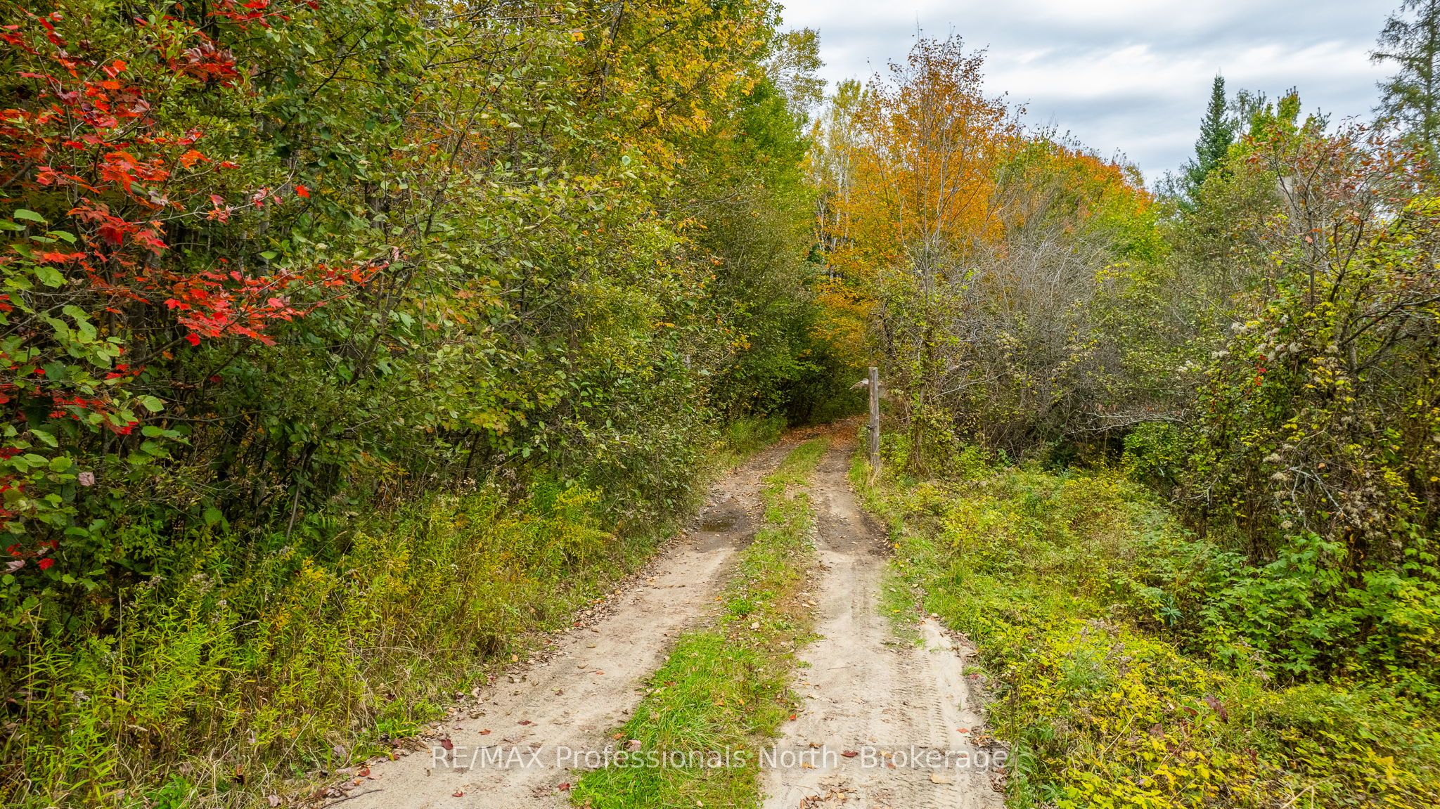 1600 Bobcaygeon Road Property Photo 9
