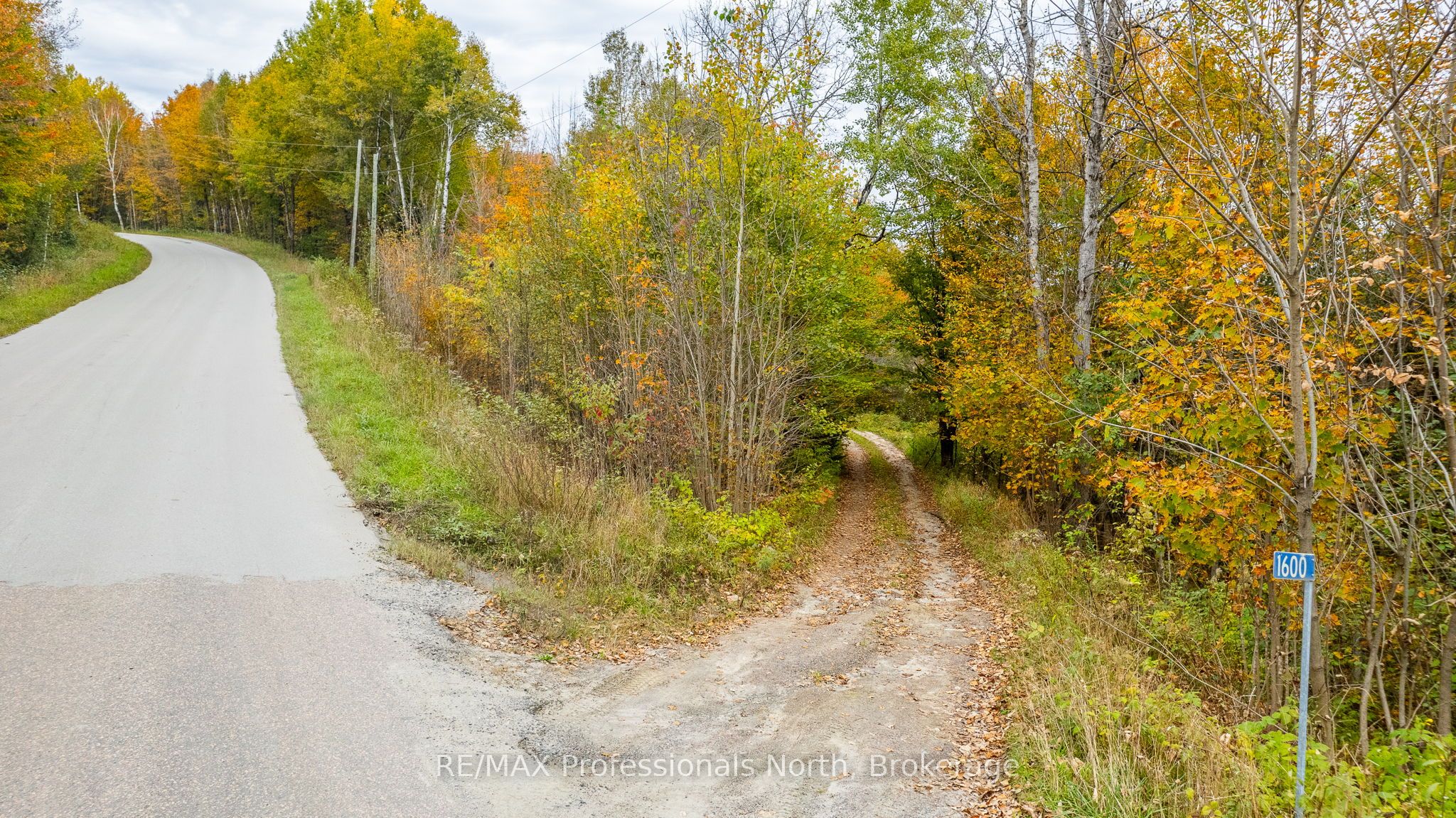 1600 Bobcaygeon Road Property Photo 10