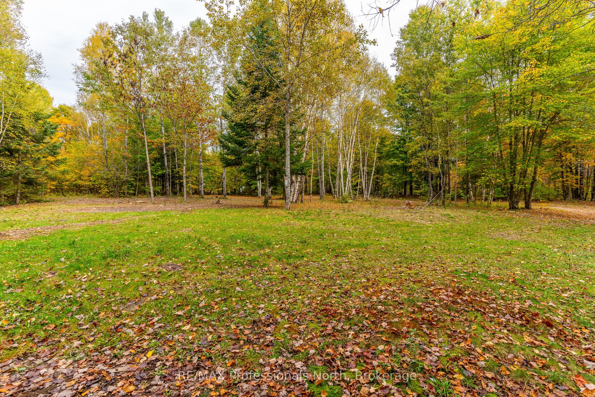 1600 Bobcaygeon Road Property Photo 11