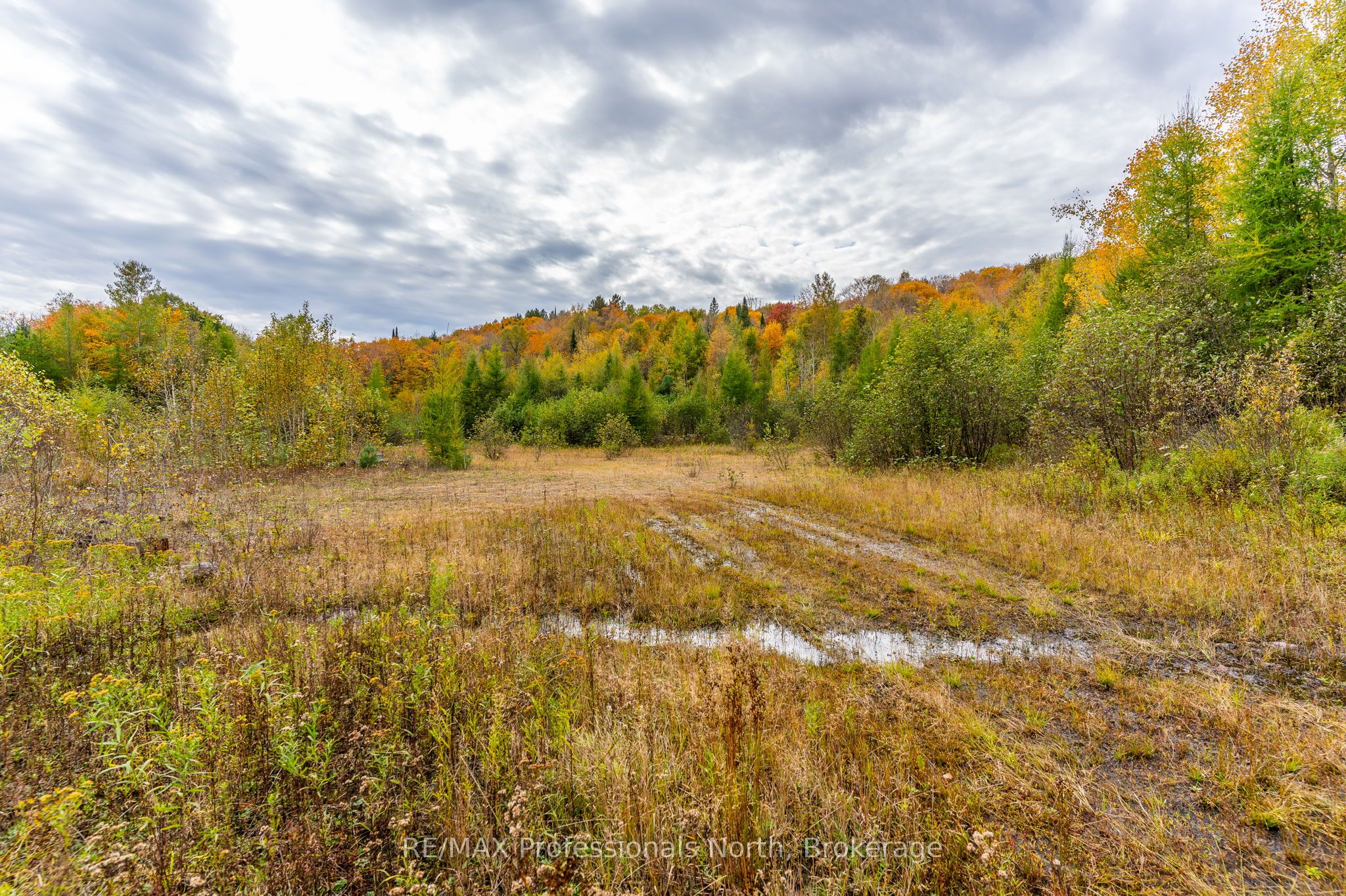 1600 Bobcaygeon Road Property Photo 14