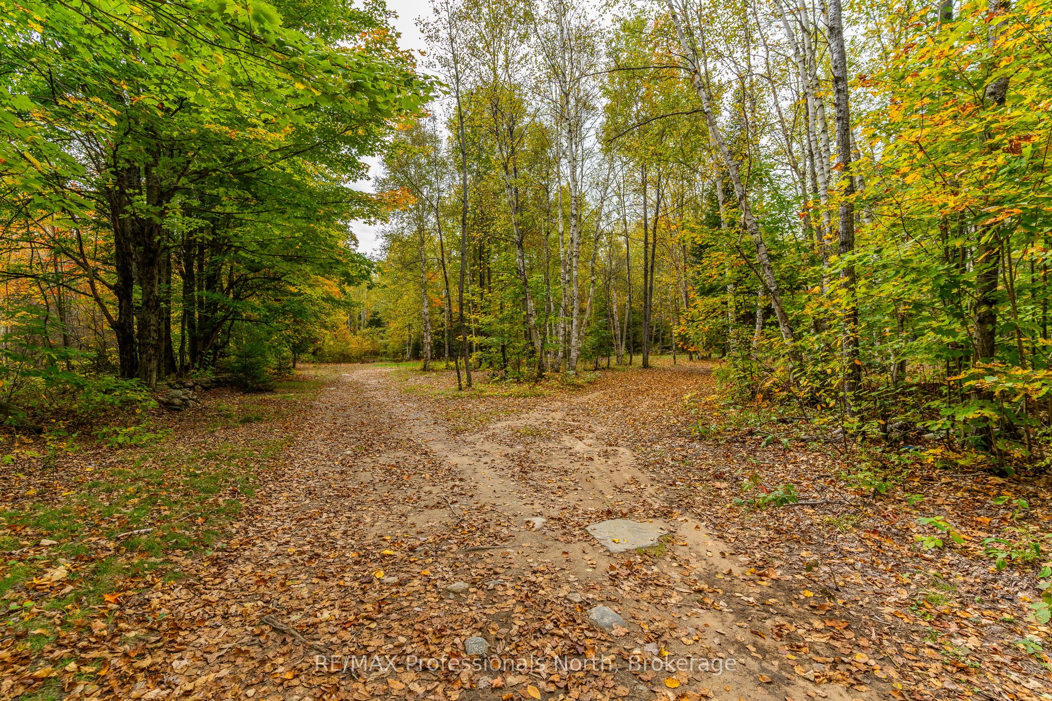 1600 Bobcaygeon Road Property Photo 16