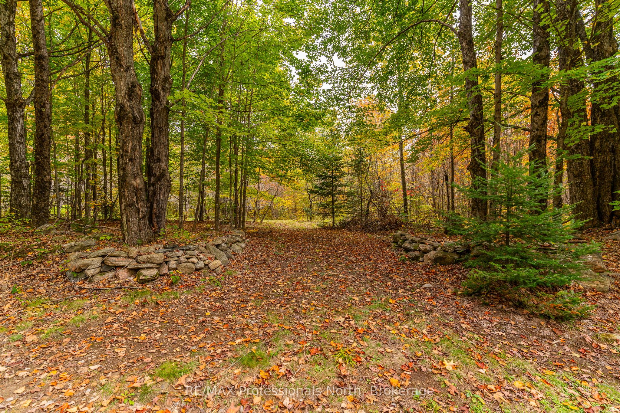 1600 Bobcaygeon Road Property Photo 17