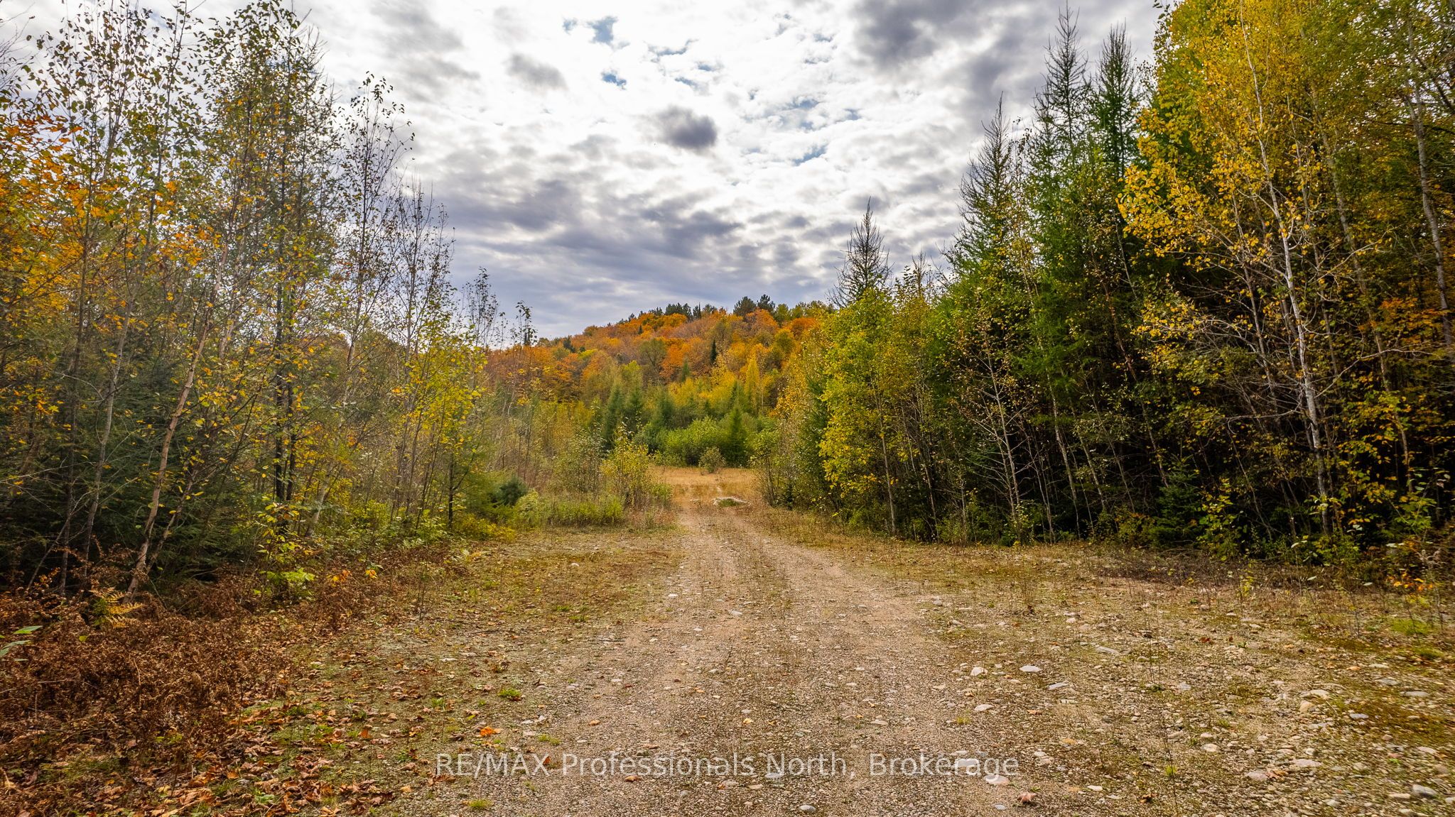 1600 Bobcaygeon Road Property Photo 19