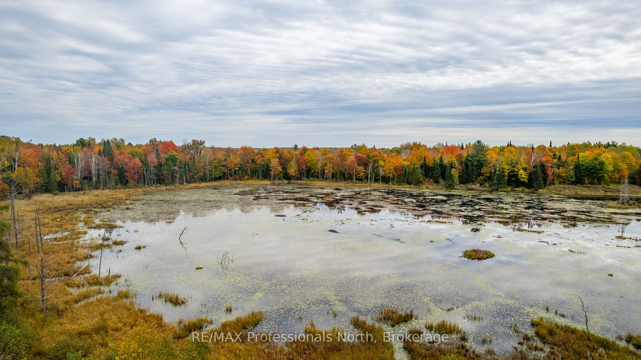 1600 Bobcaygeon Road Property Photo 20