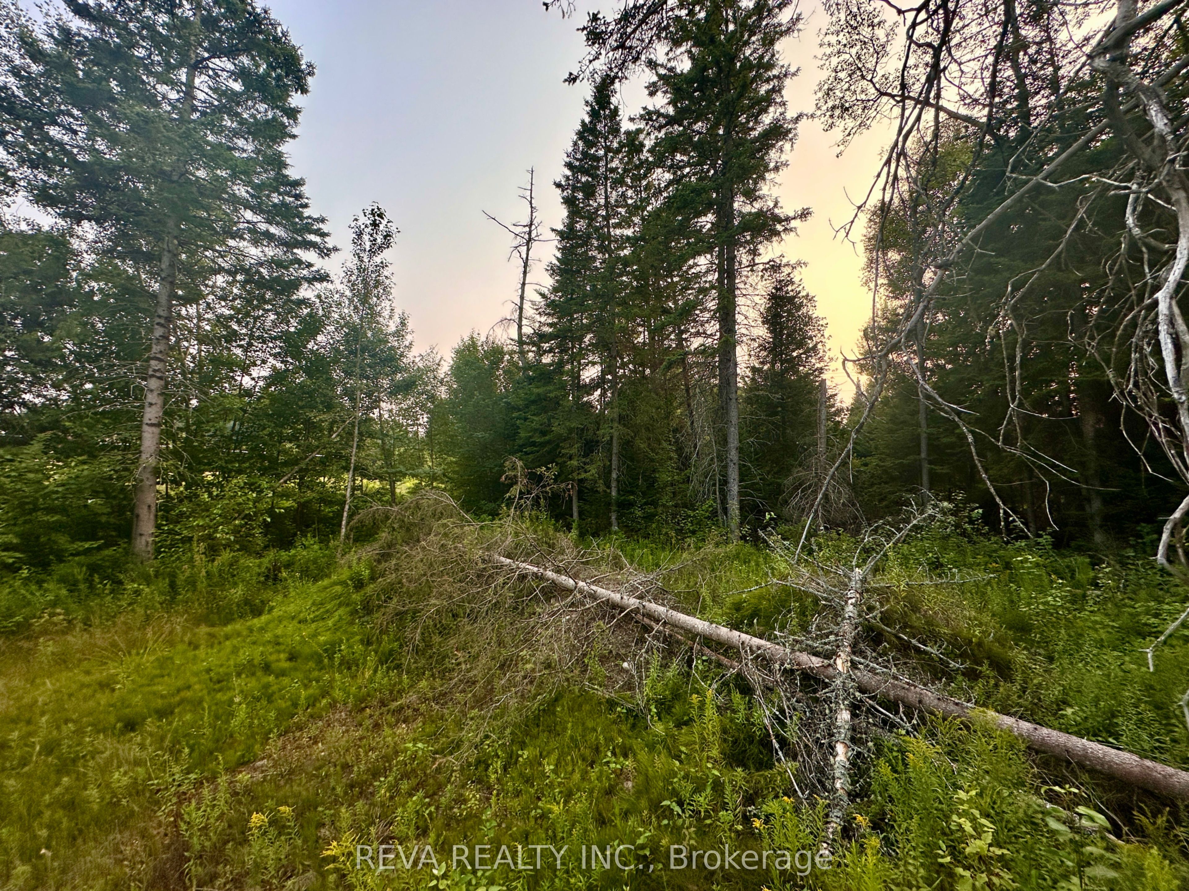 00 Highway 62 N/a N Property Photo 5