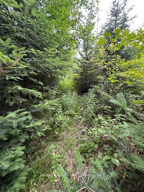 00 Highway 62 N/a N Property Photo 13