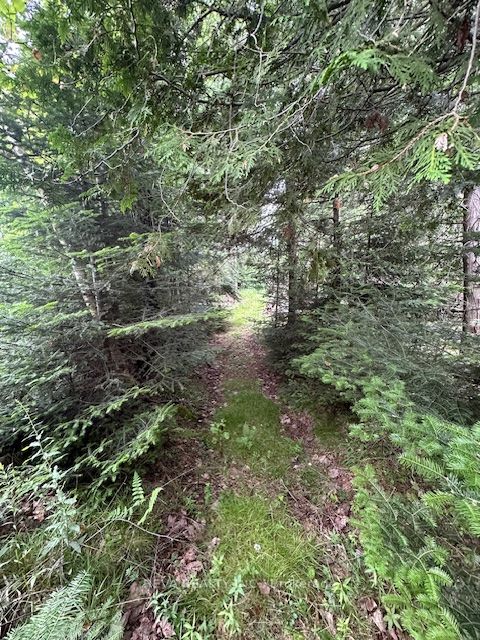00 Highway 62 N/a N Property Photo 17